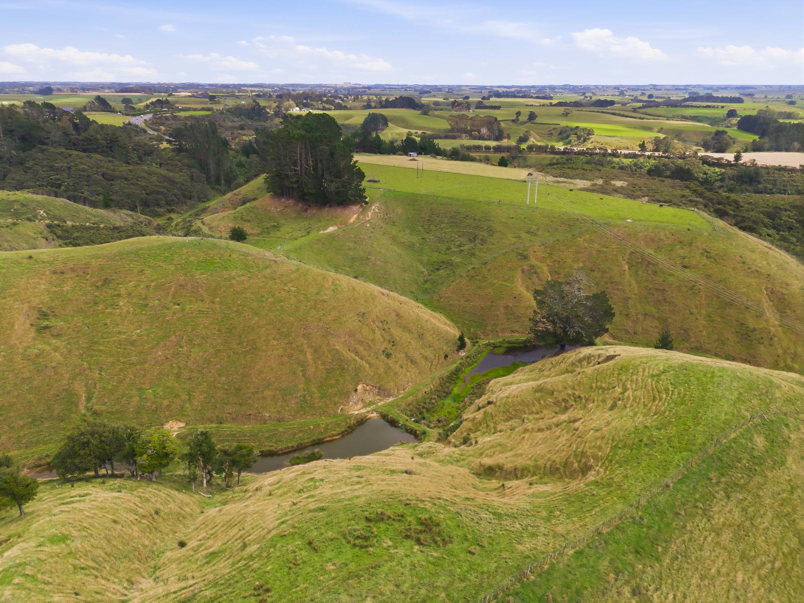 100 Heights Road , Shannon