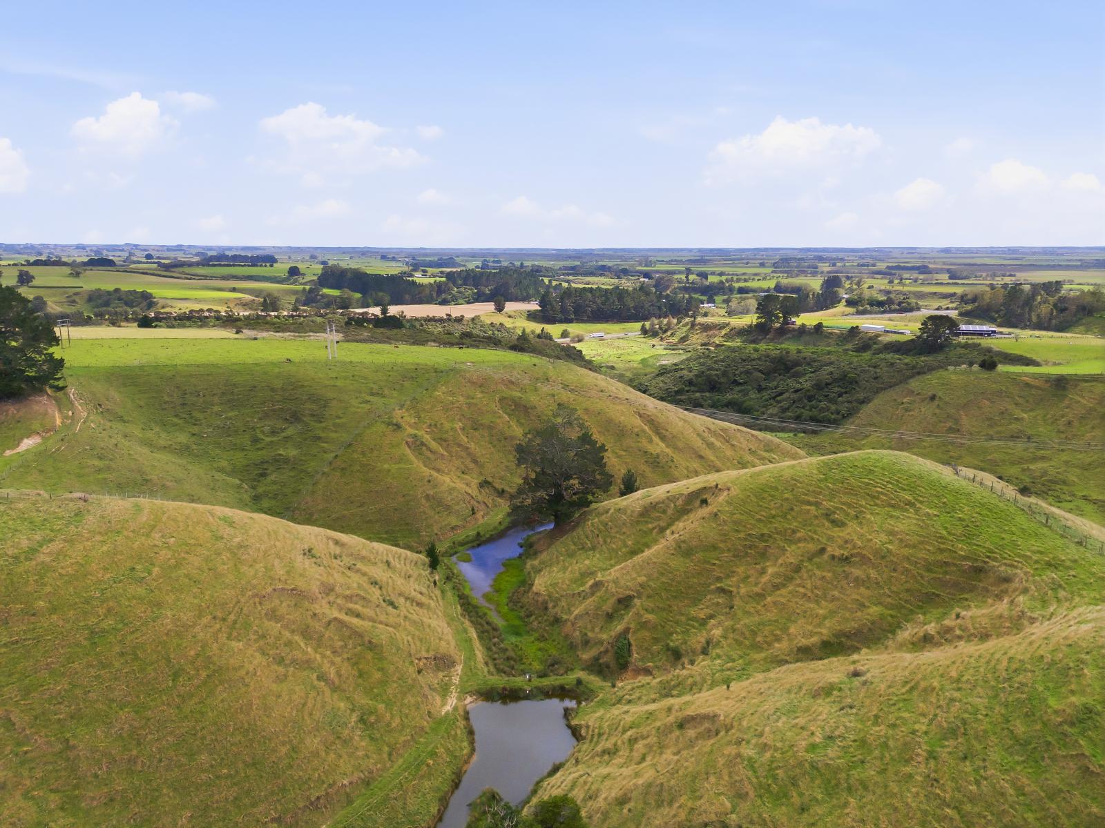 100 Heights Road , Shannon