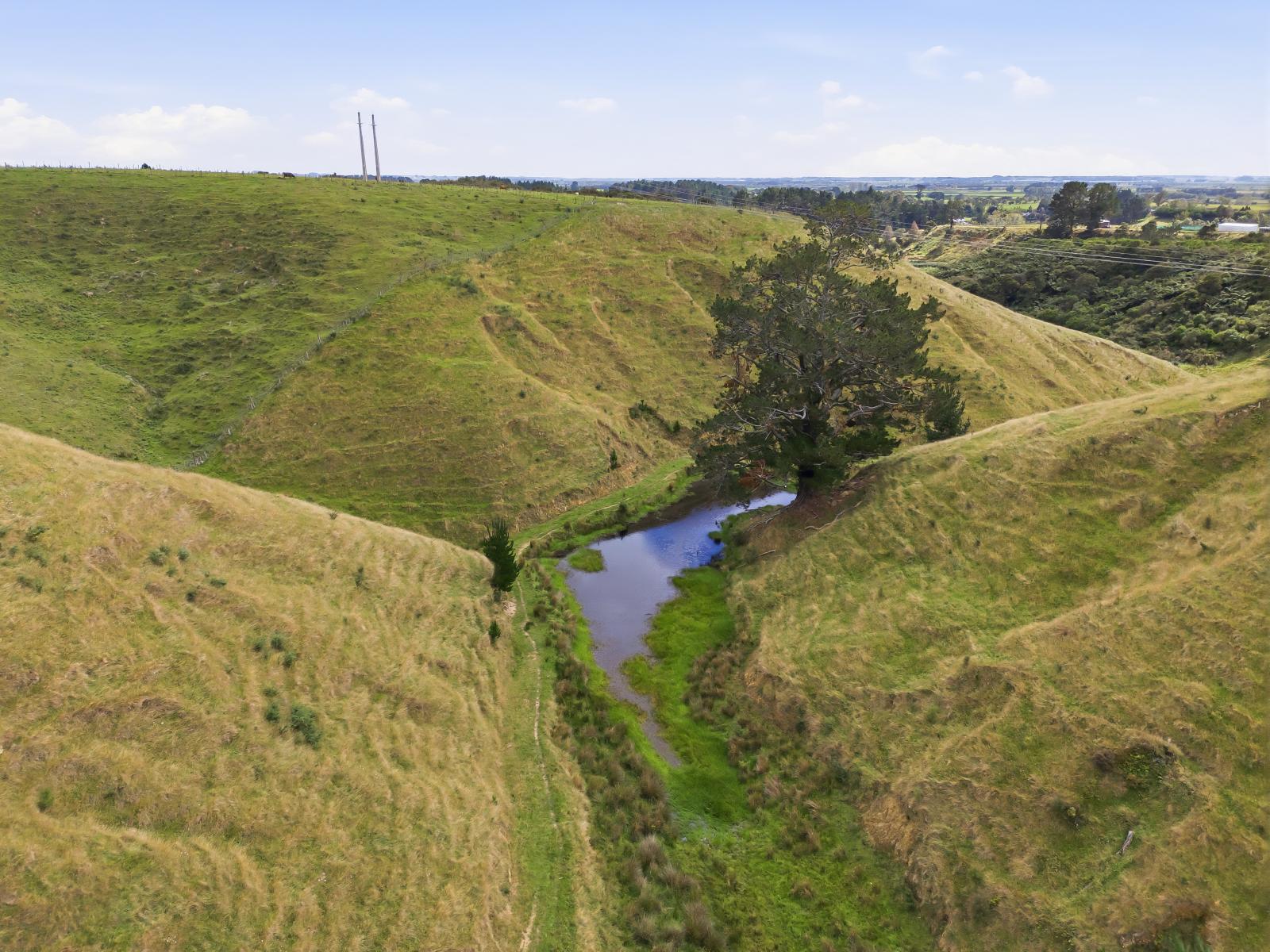100 Heights Road , Shannon