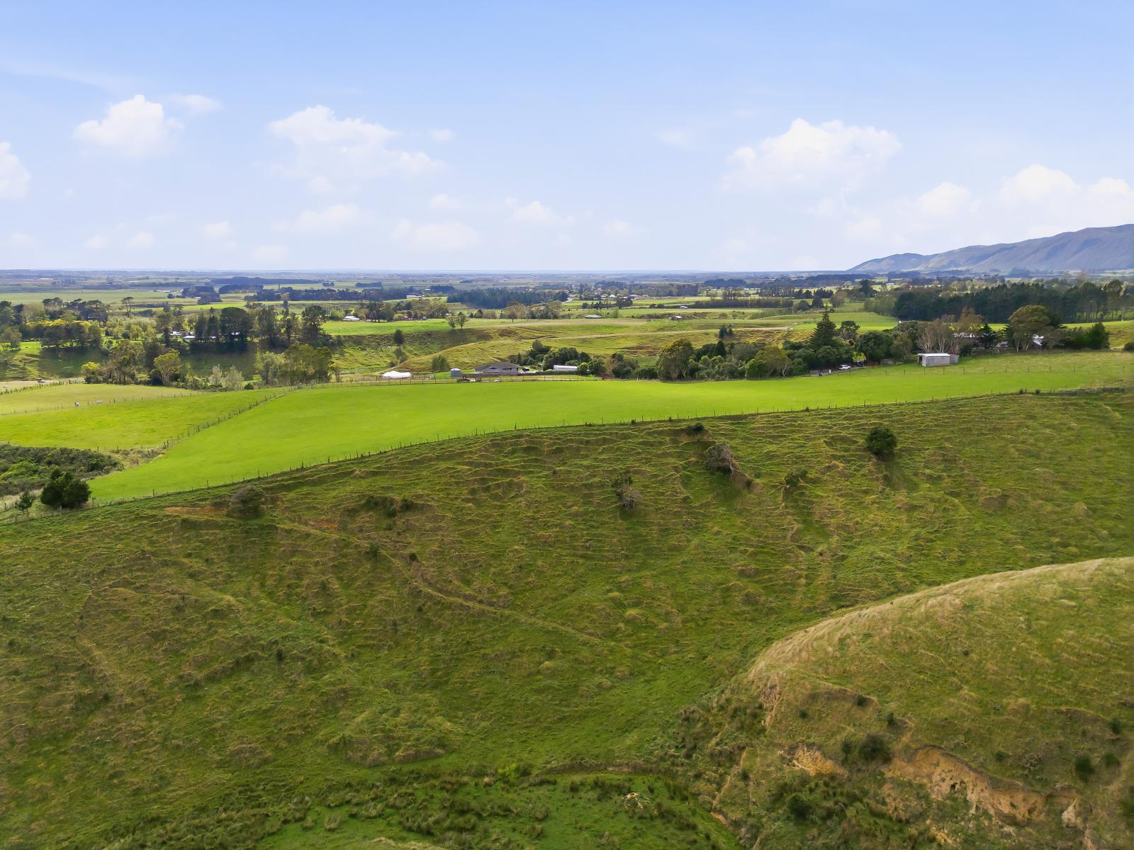 100 Heights Road , Shannon