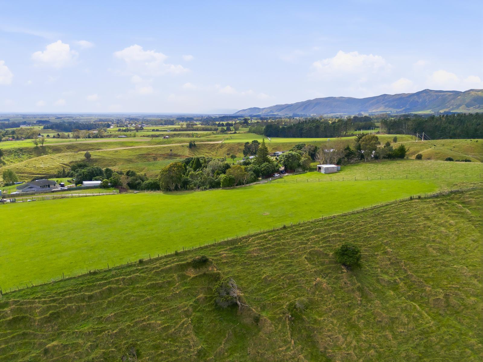 100 Heights Road , Shannon