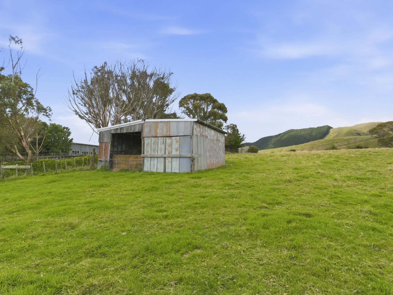 100 Heights Road , Shannon