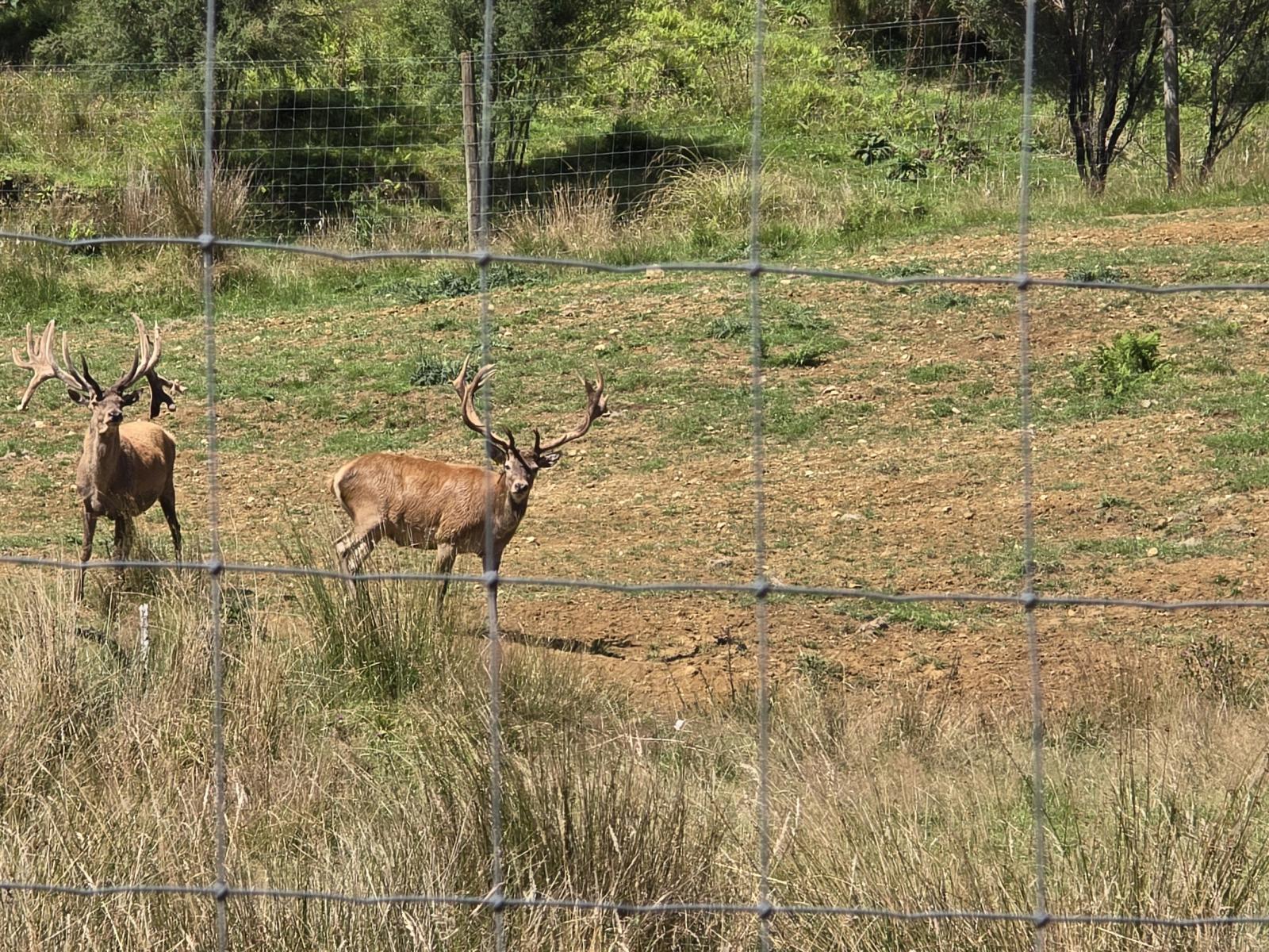2109 Okau Road, Ahititi