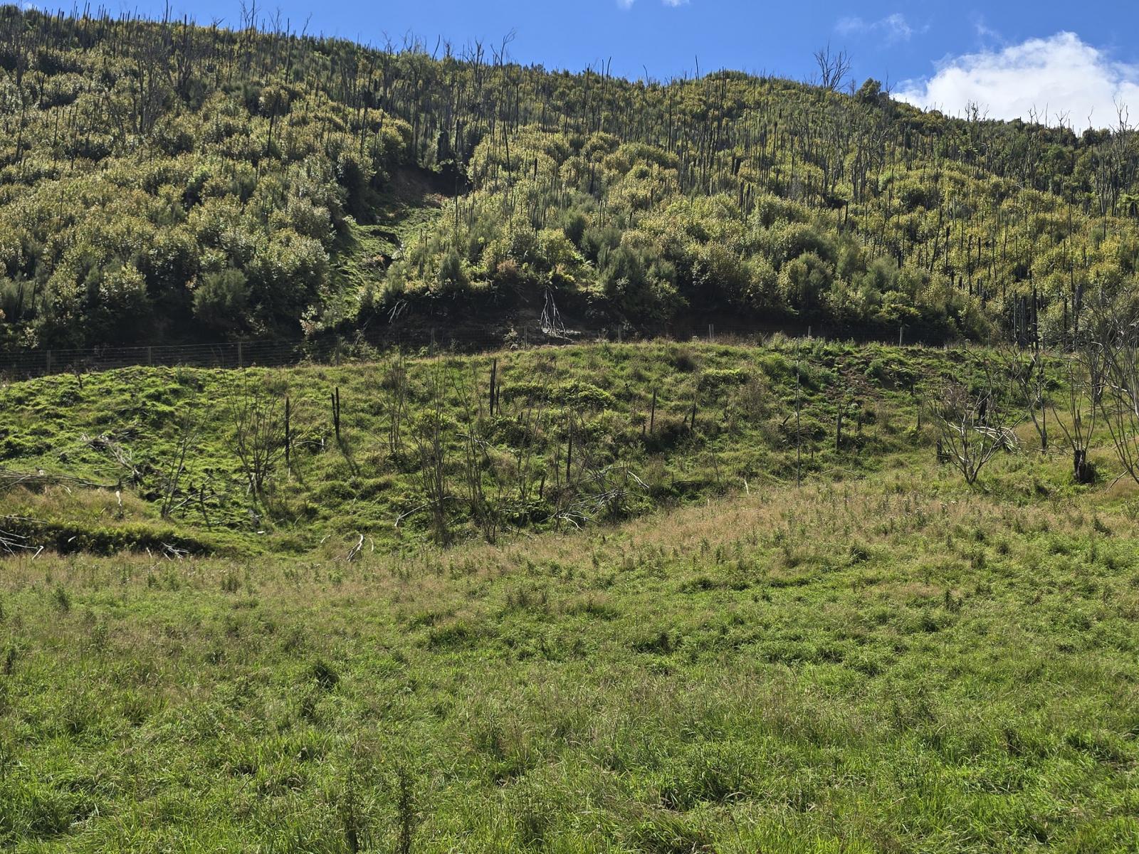 2109 Okau Road, Ahititi