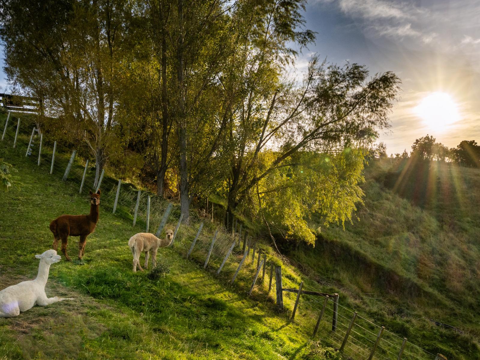 204 Eskridge Drive, Bay View