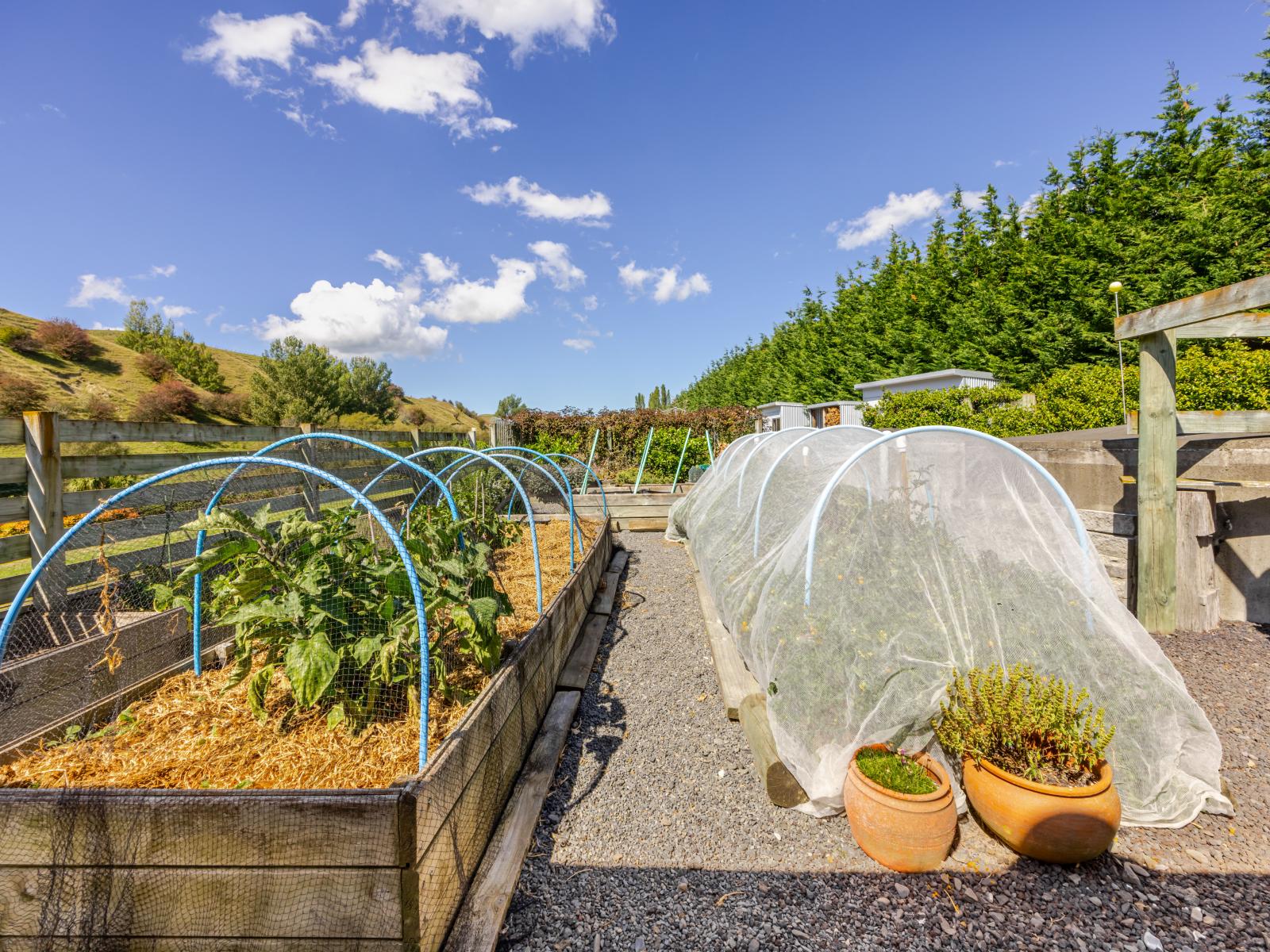 1127 Pourerere Road, Omakere