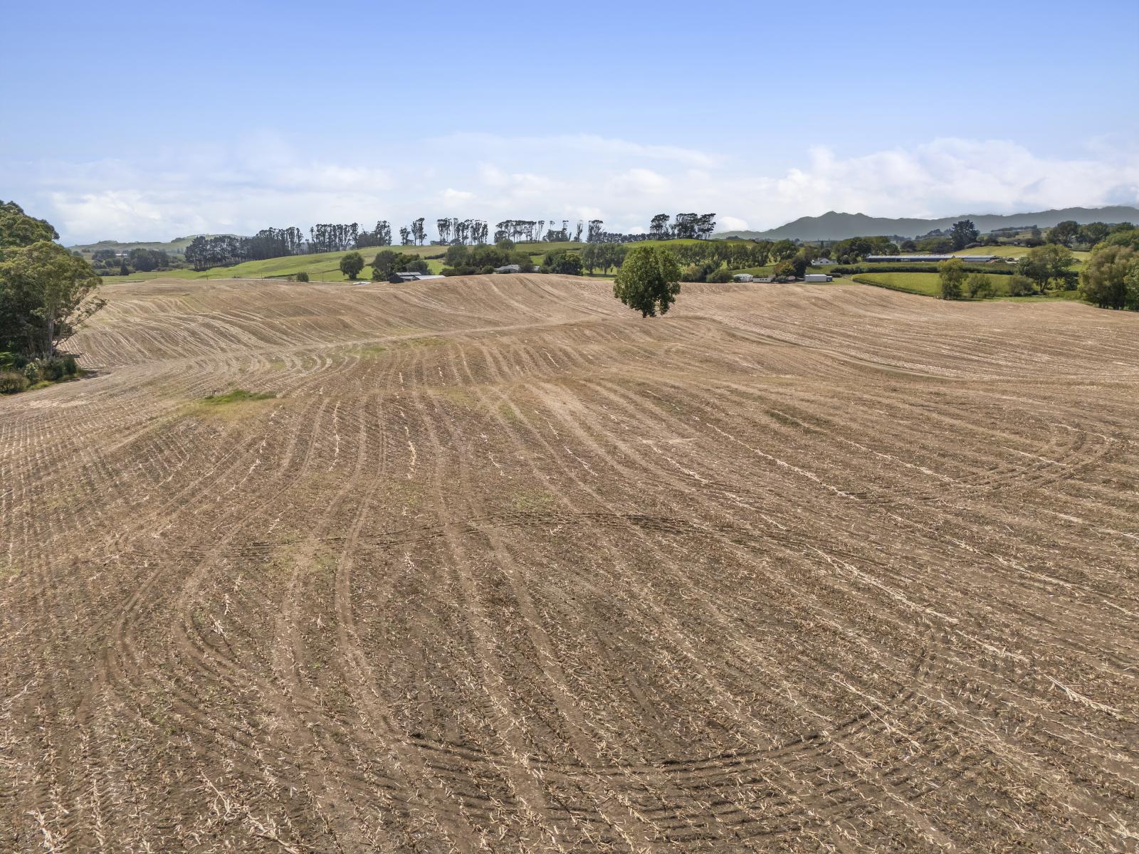 1542 Morrinsville-Walton Road, Morrinsville