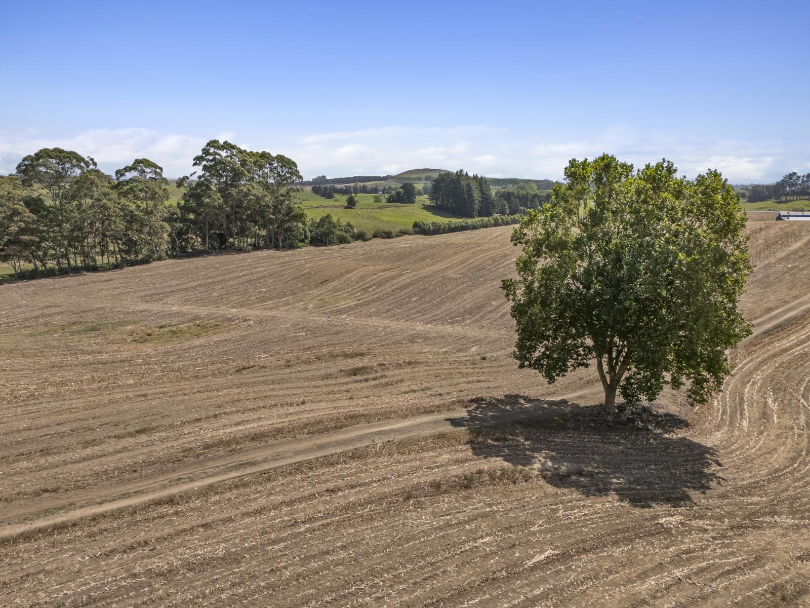 1542 Morrinsville-Walton Road, Morrinsville