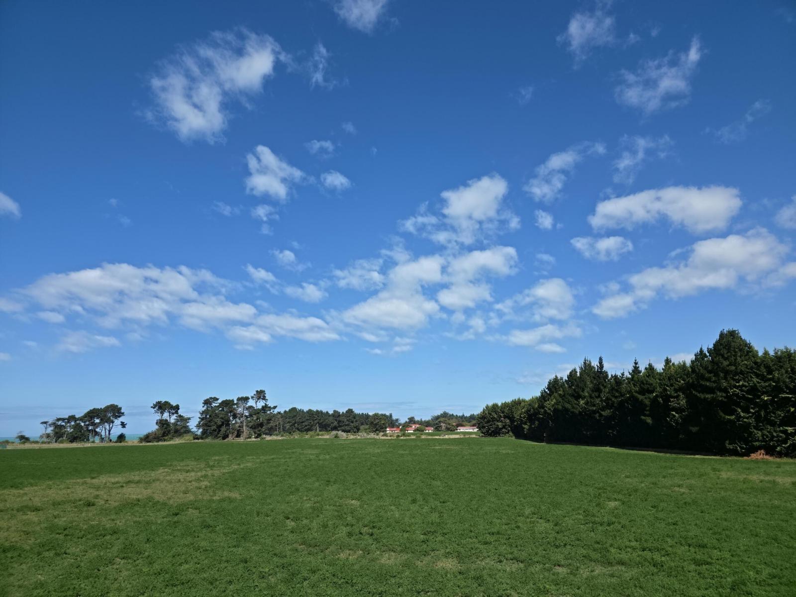 1A College Street, Oamaru