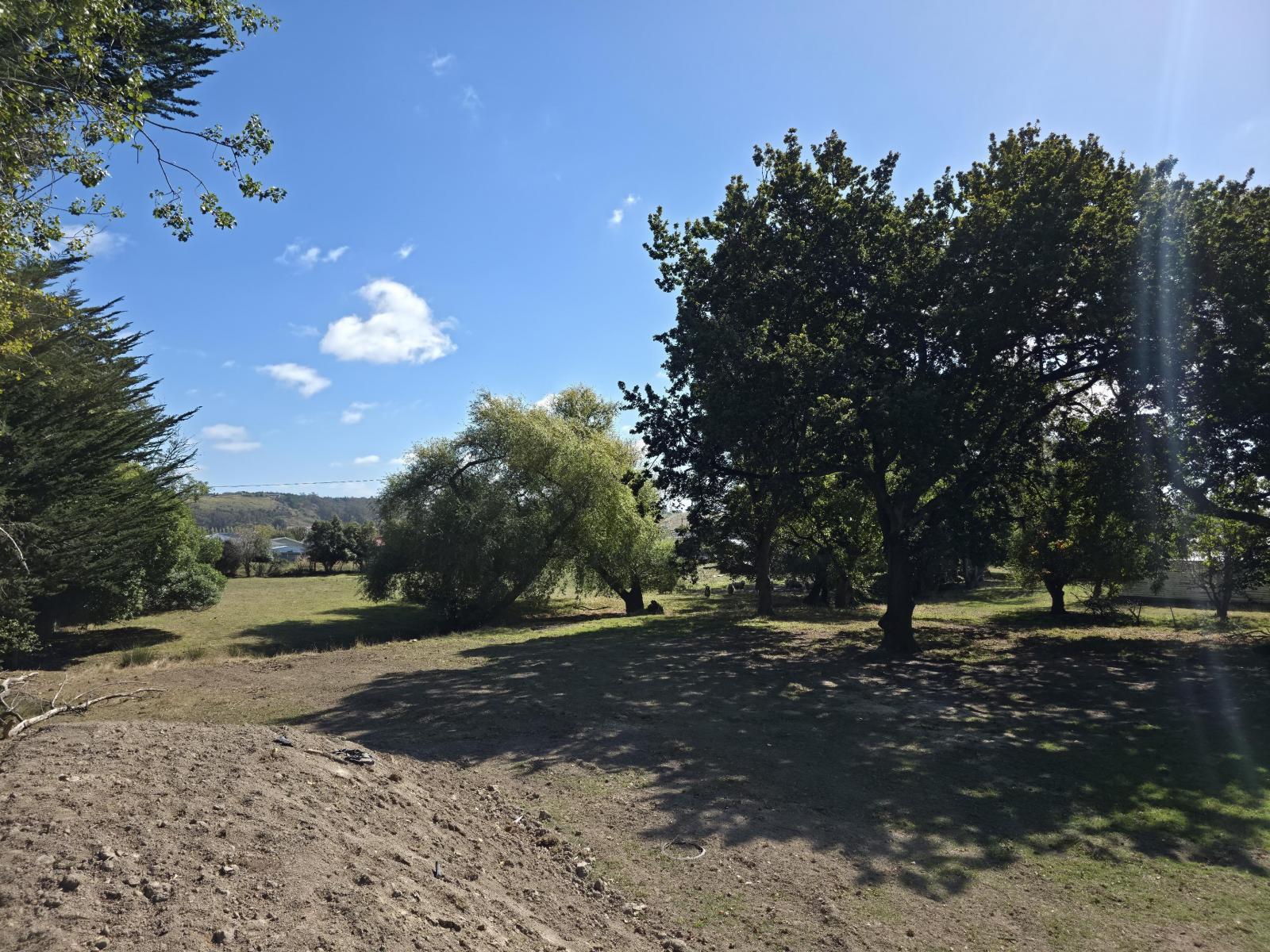 1A College Street, Oamaru