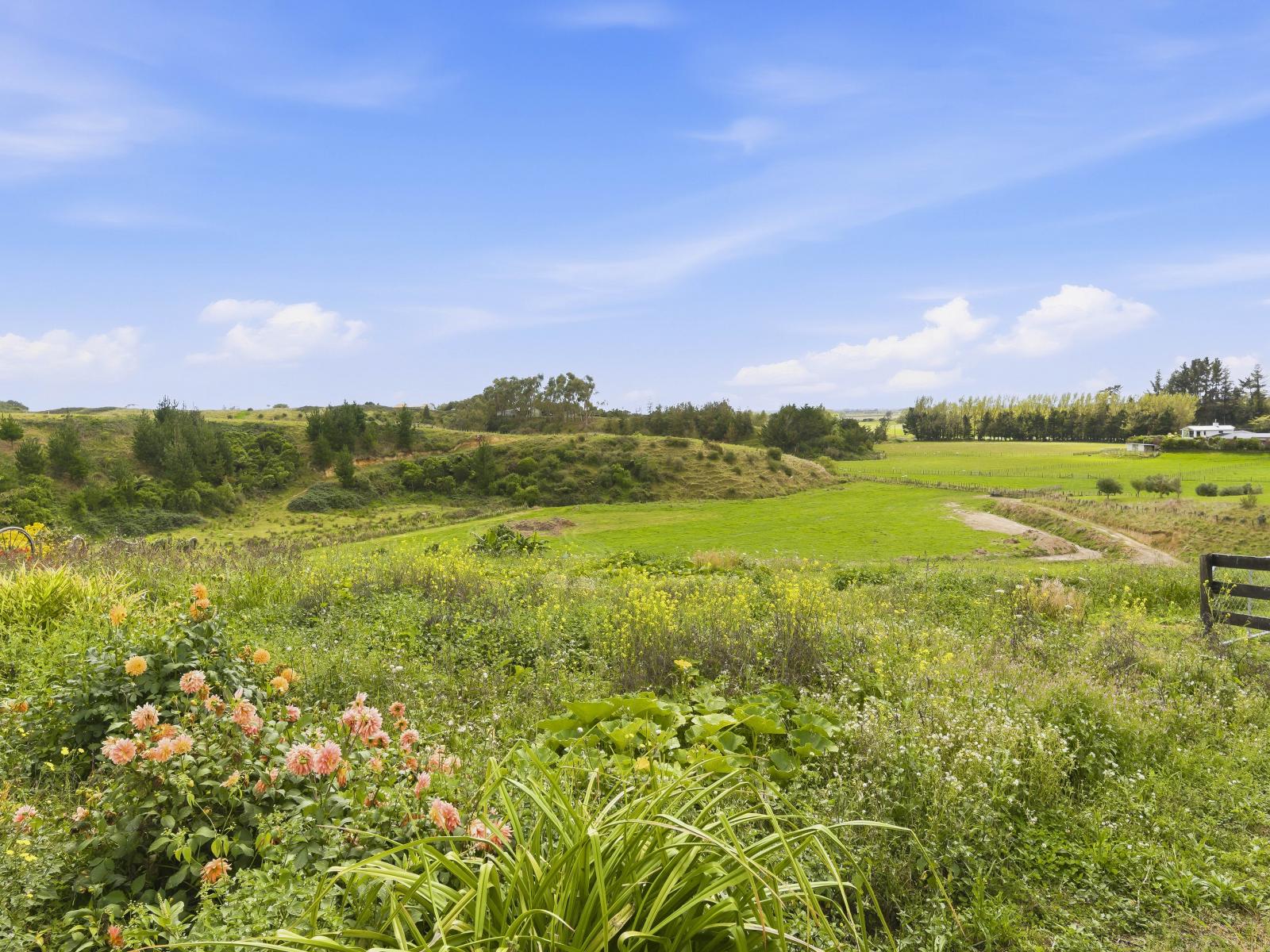 36 Glade Park Lane, Shannon