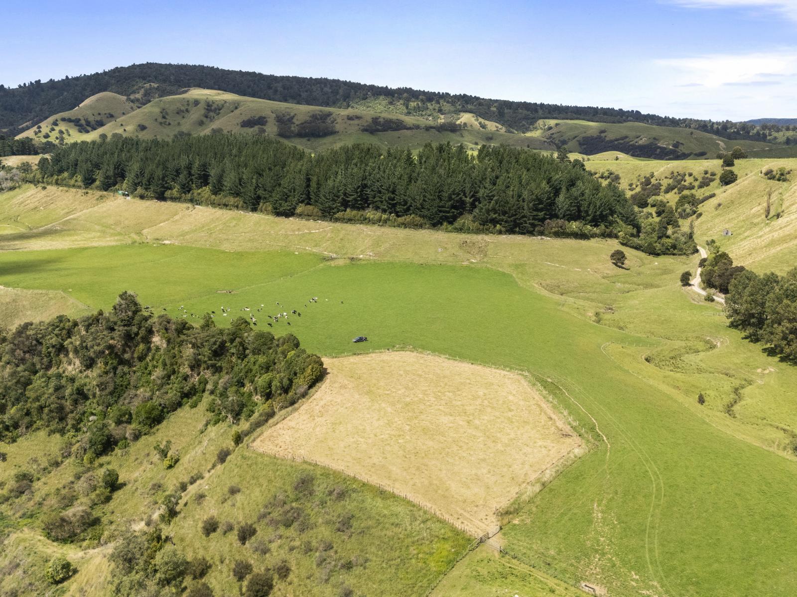 1 Takapari Road, Pohangina