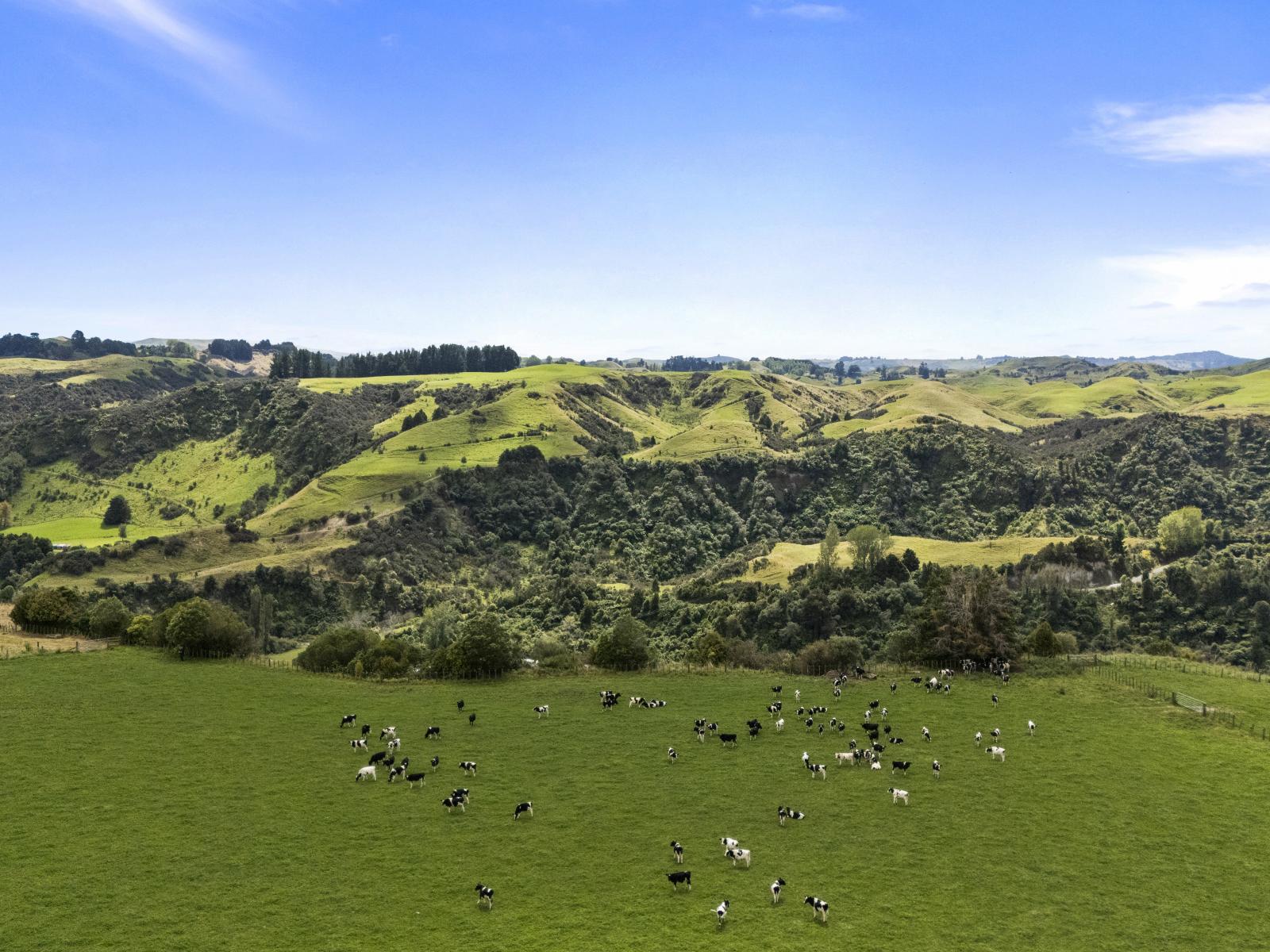 1 Takapari Road, Pohangina