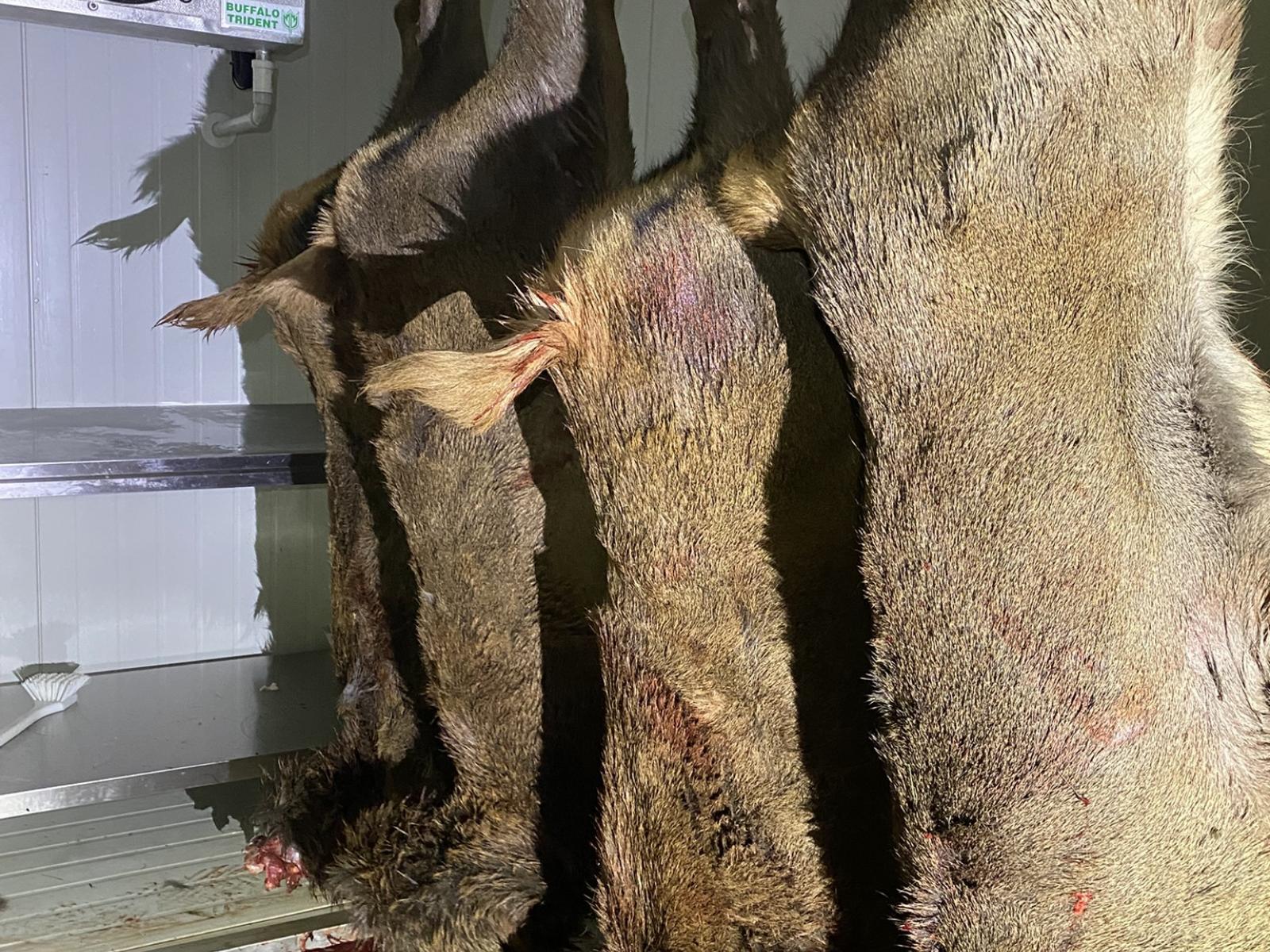 1 Takapari Road, Pohangina