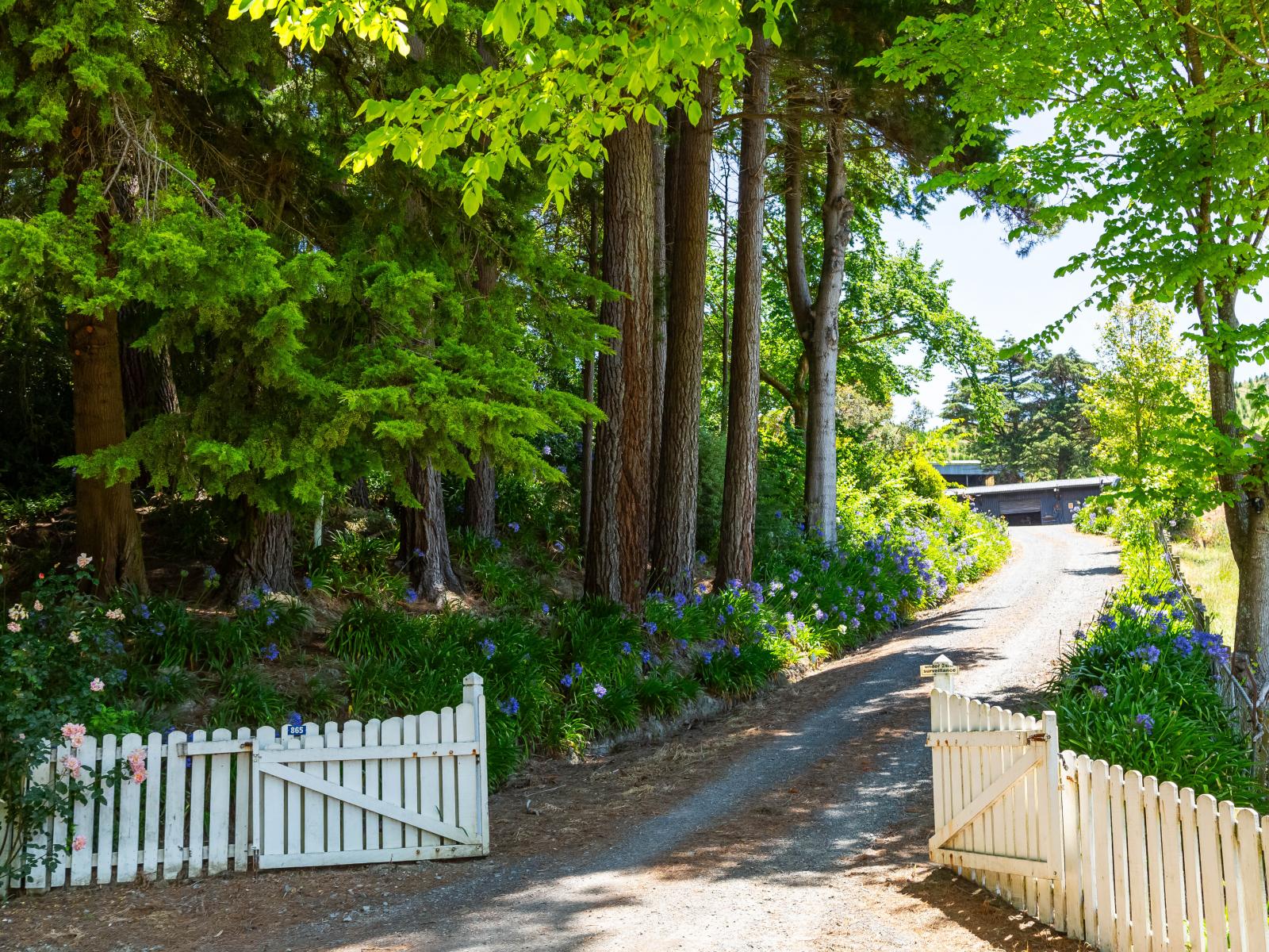 865 Mangamahoe Central Road, Masterton
