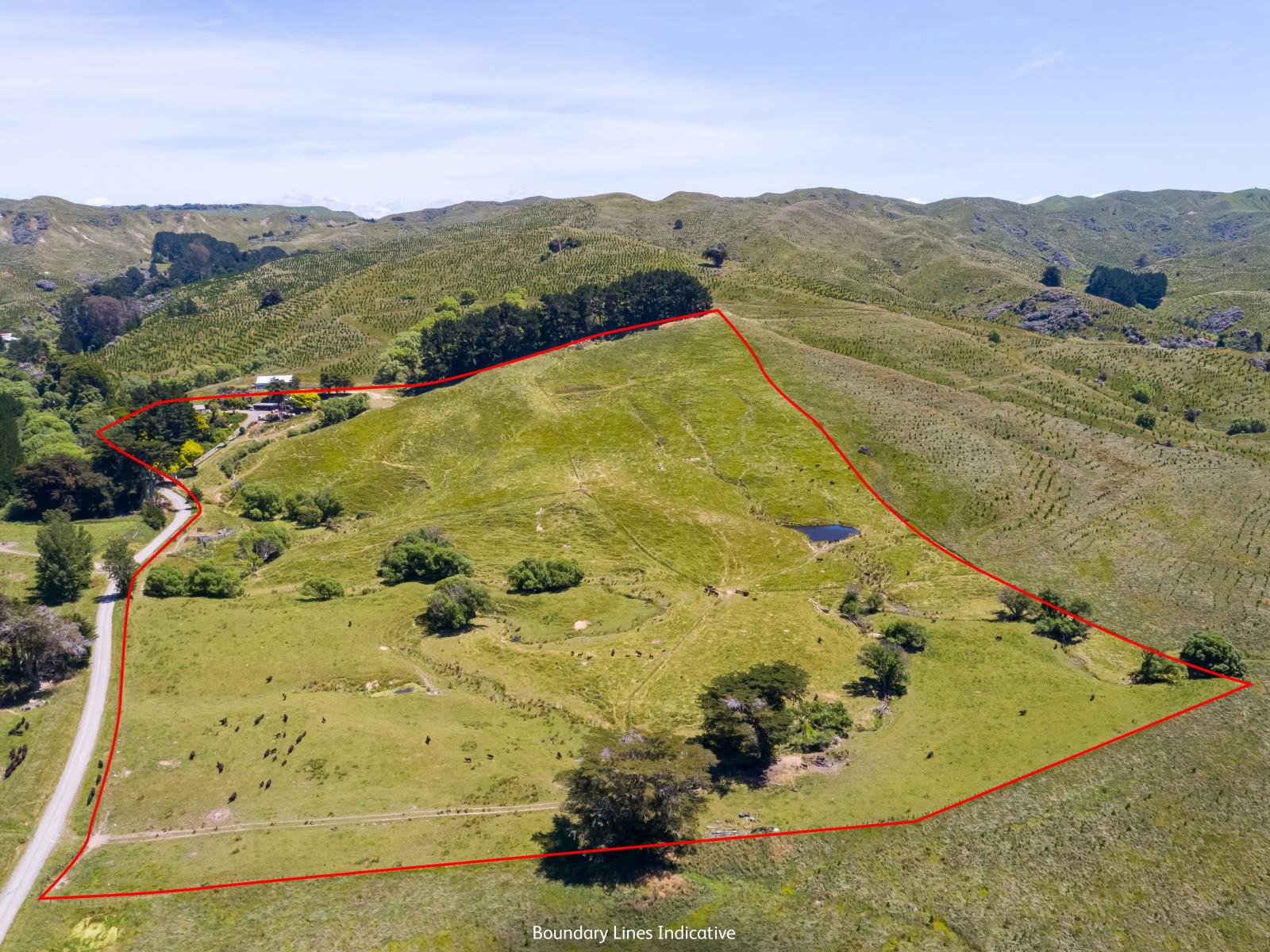 865 Mangamahoe Central Road, Masterton