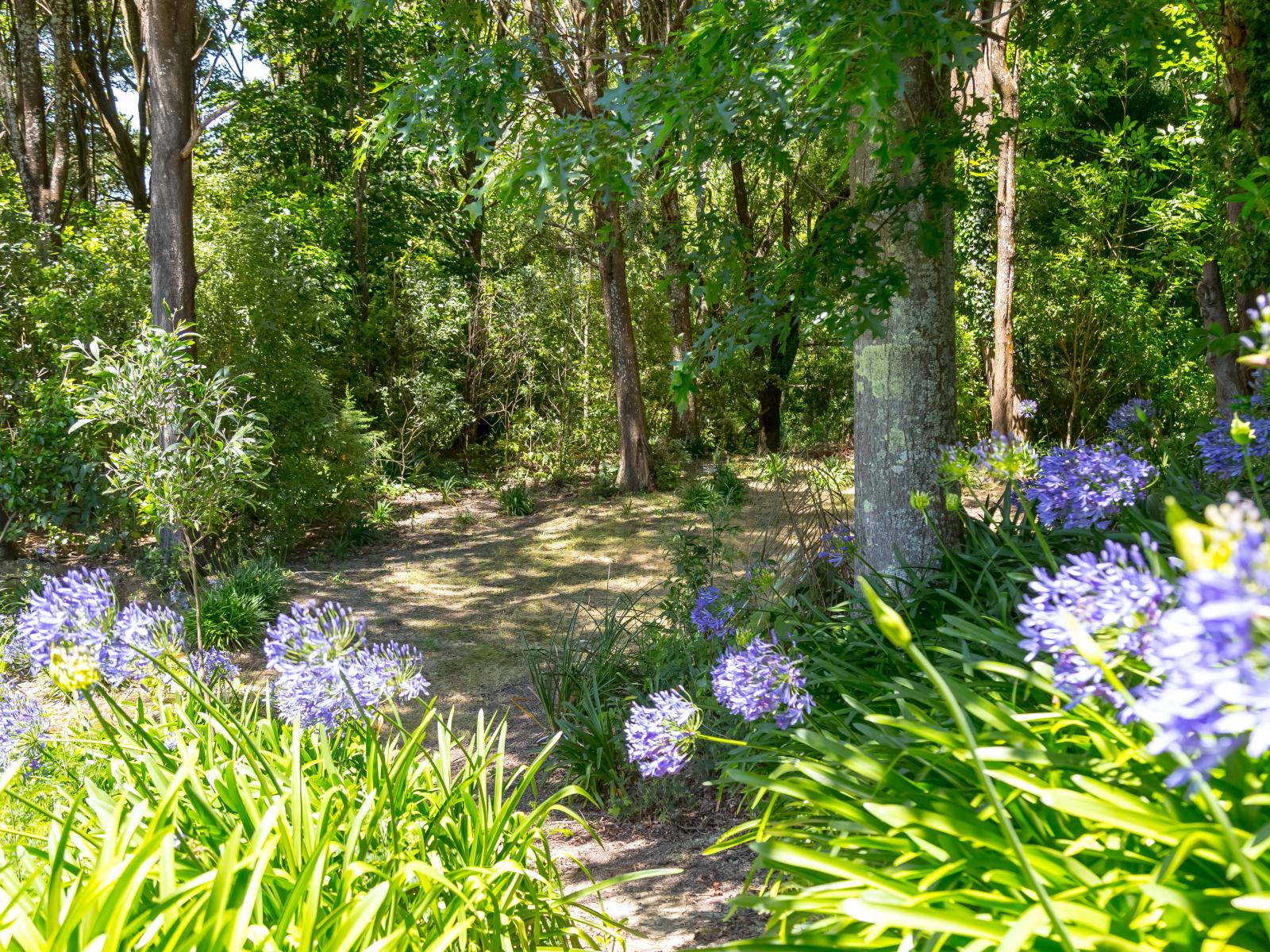 865 Mangamahoe Central Road, Masterton