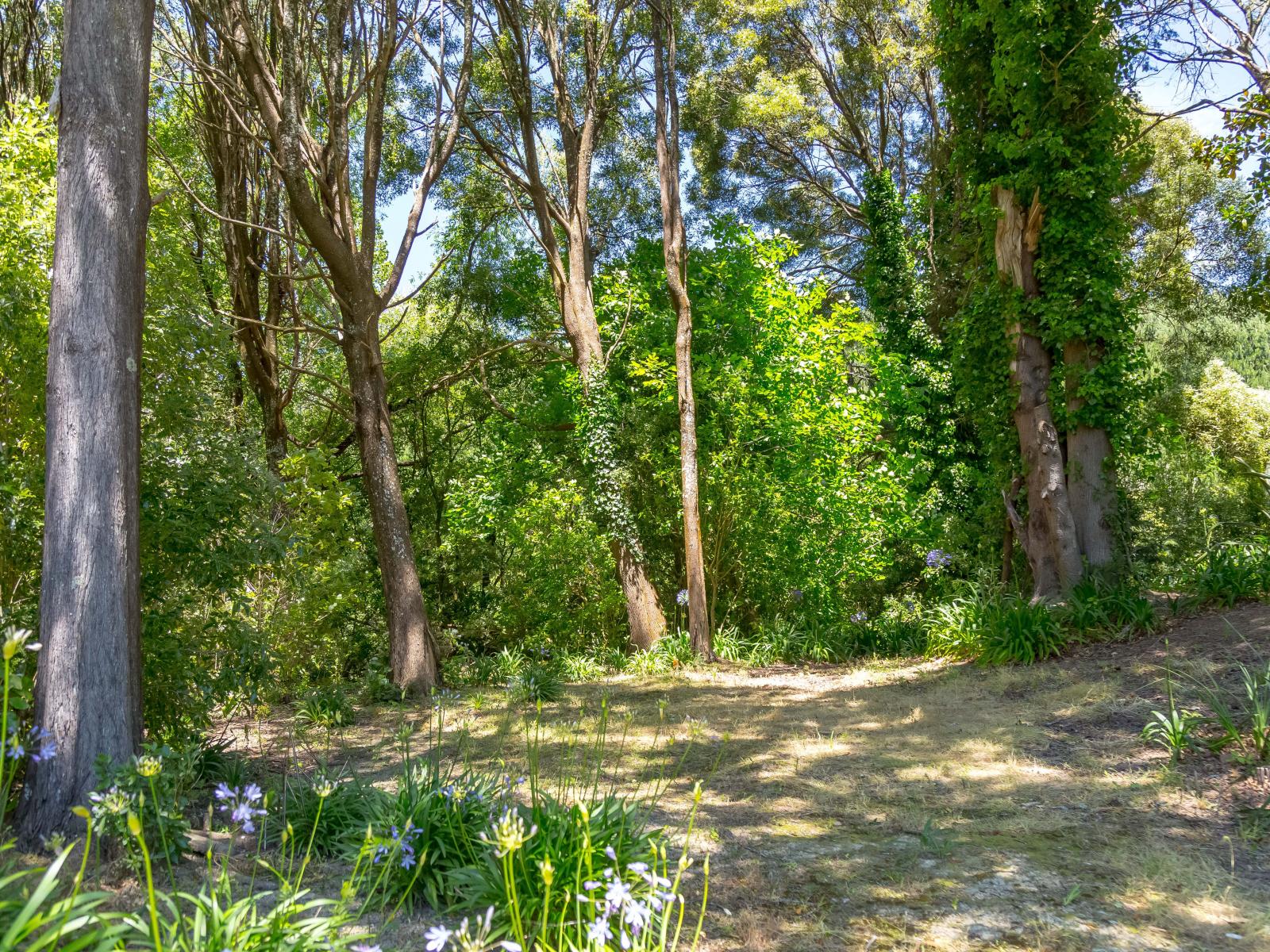 865 Mangamahoe Central Road, Masterton