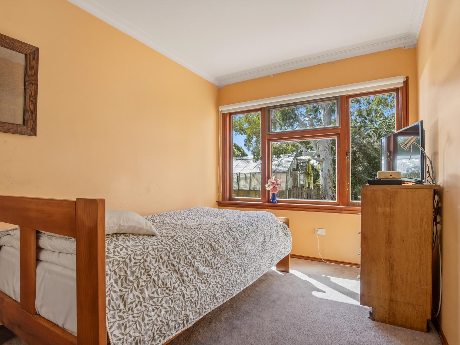 50 Rattletrack Road , Springston