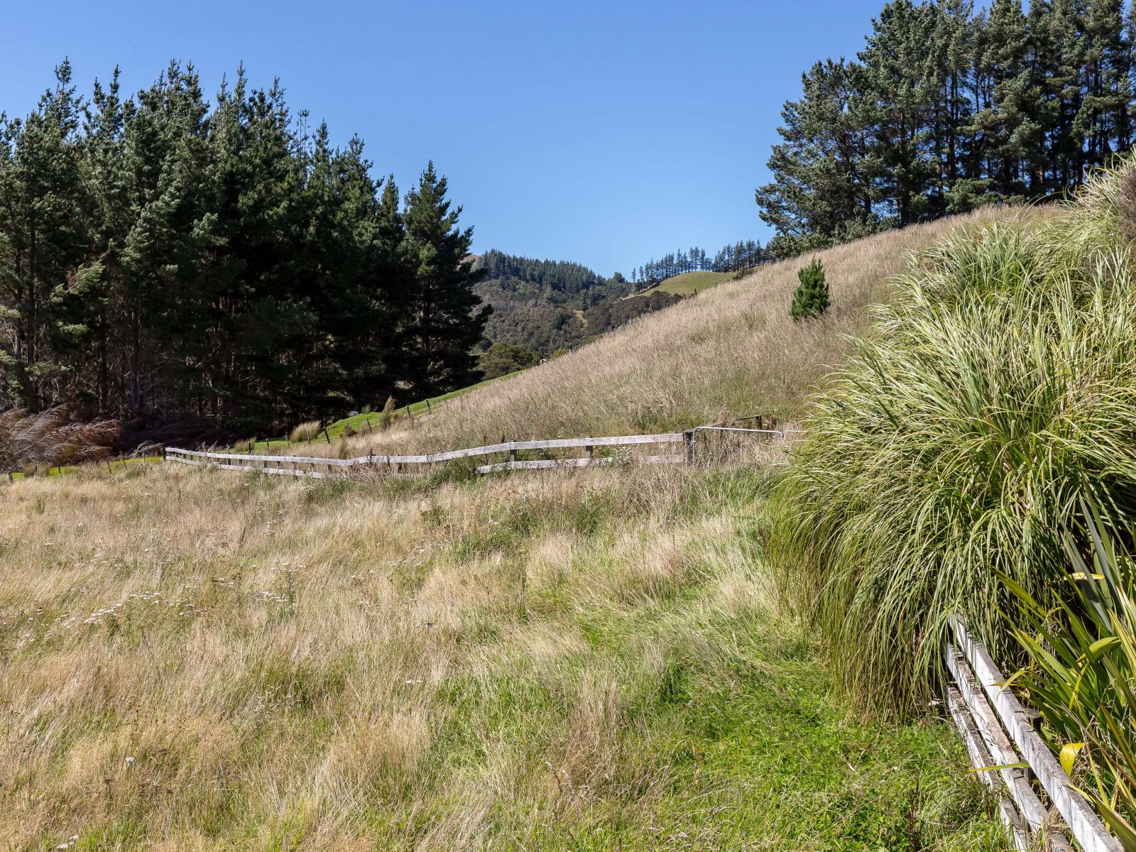 529 Craigie Lea Road, Te Wharau