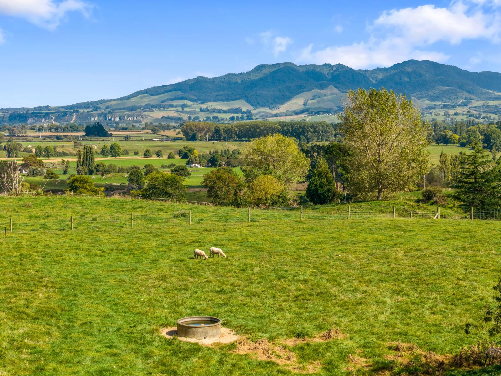 95D Pearsons Road, Putaruru