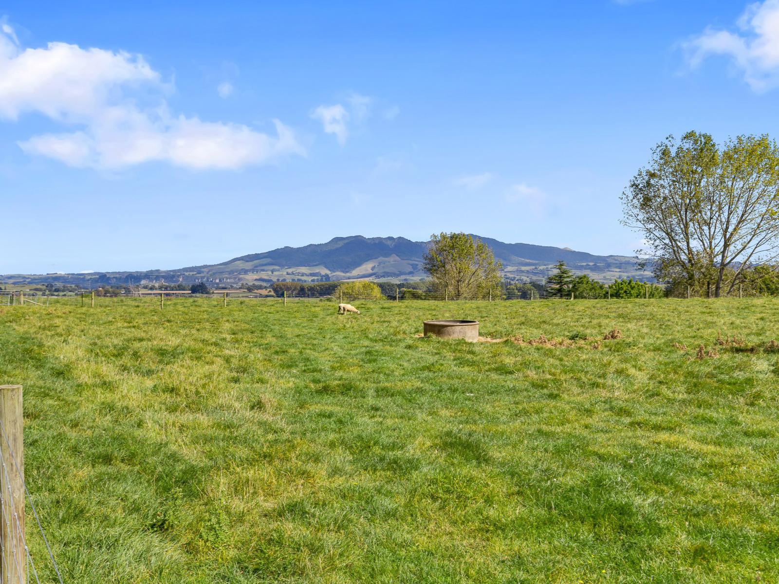 95D Pearsons Road, Putaruru