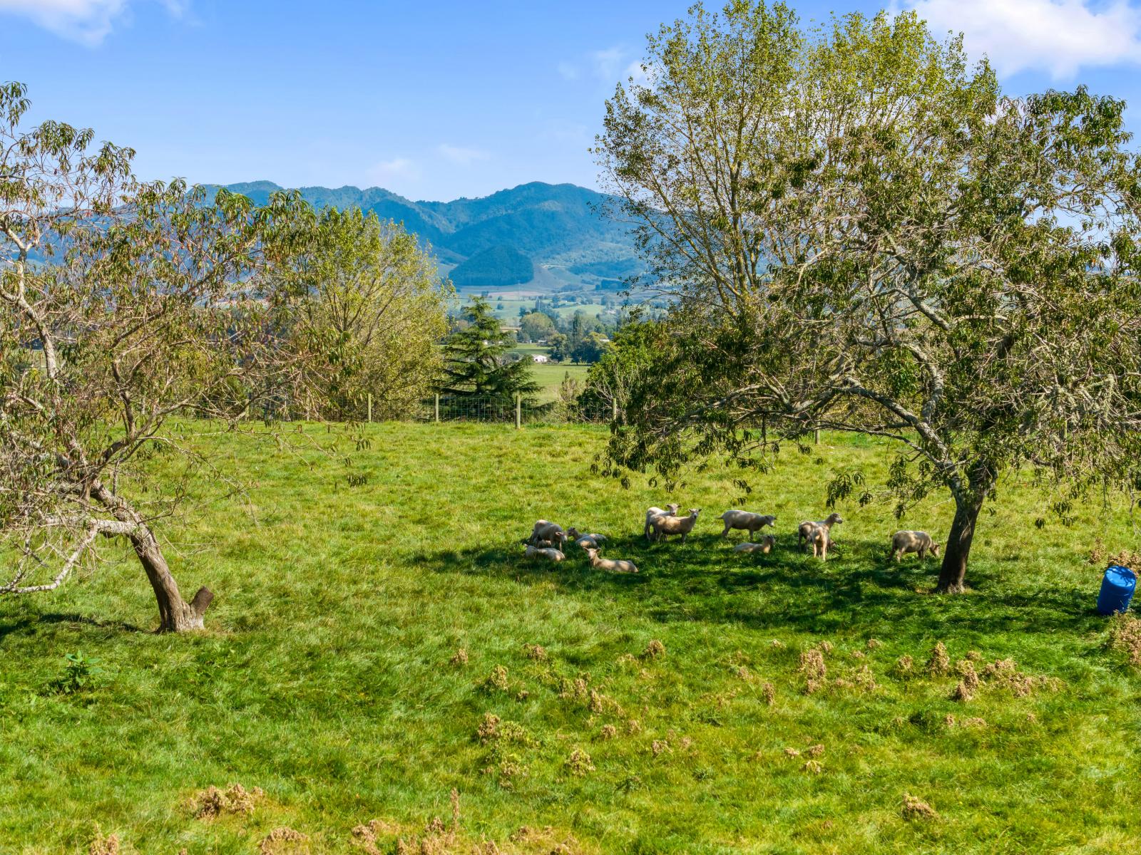 95D Pearsons Road, Putaruru