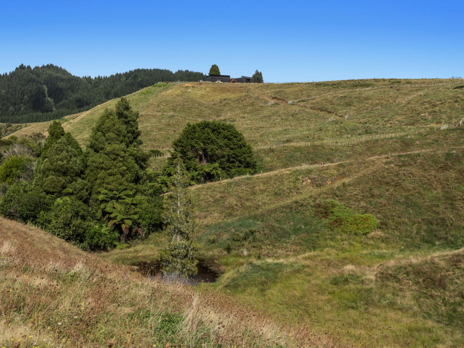 1207C Stanley Road, Whakatane