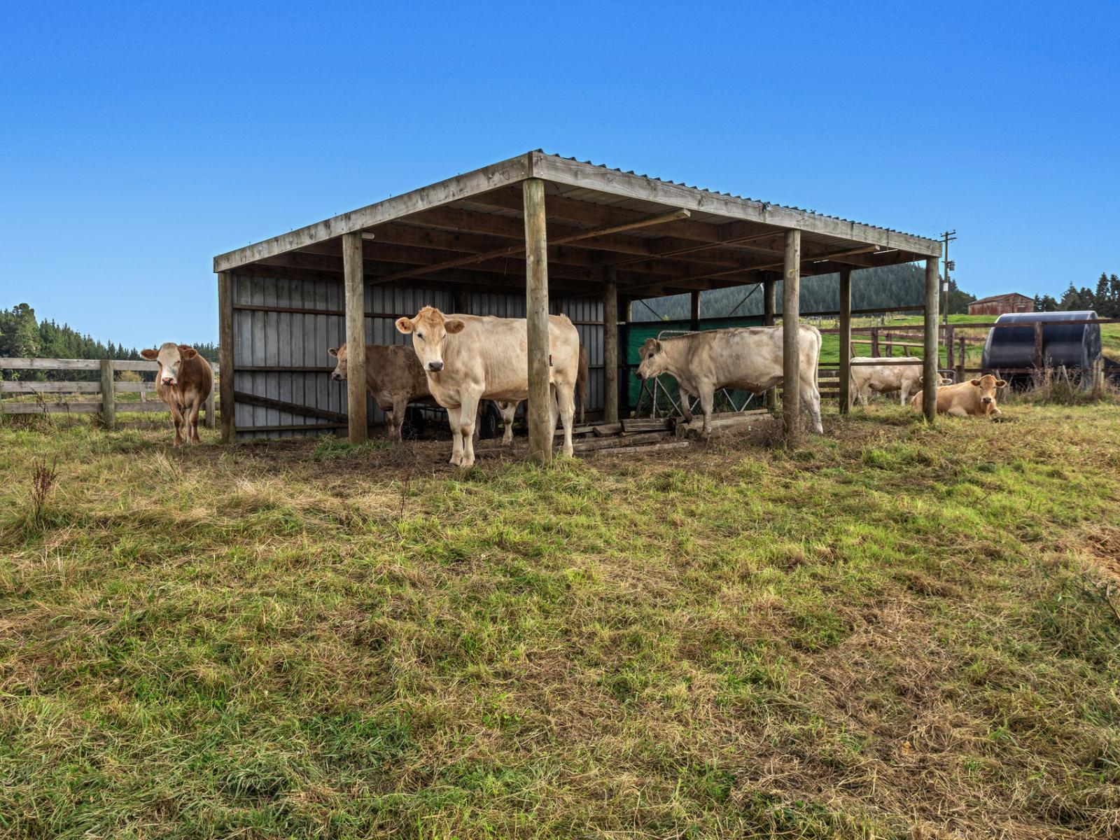 1207C Stanley Road, Whakatane