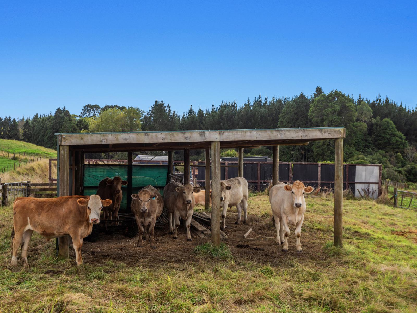 1207C Stanley Road, Whakatane