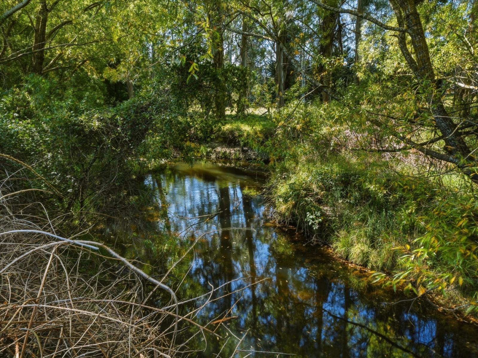 51 Station Road, Loburn