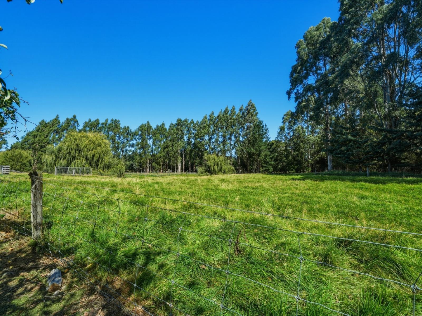 51 Station Road, Loburn