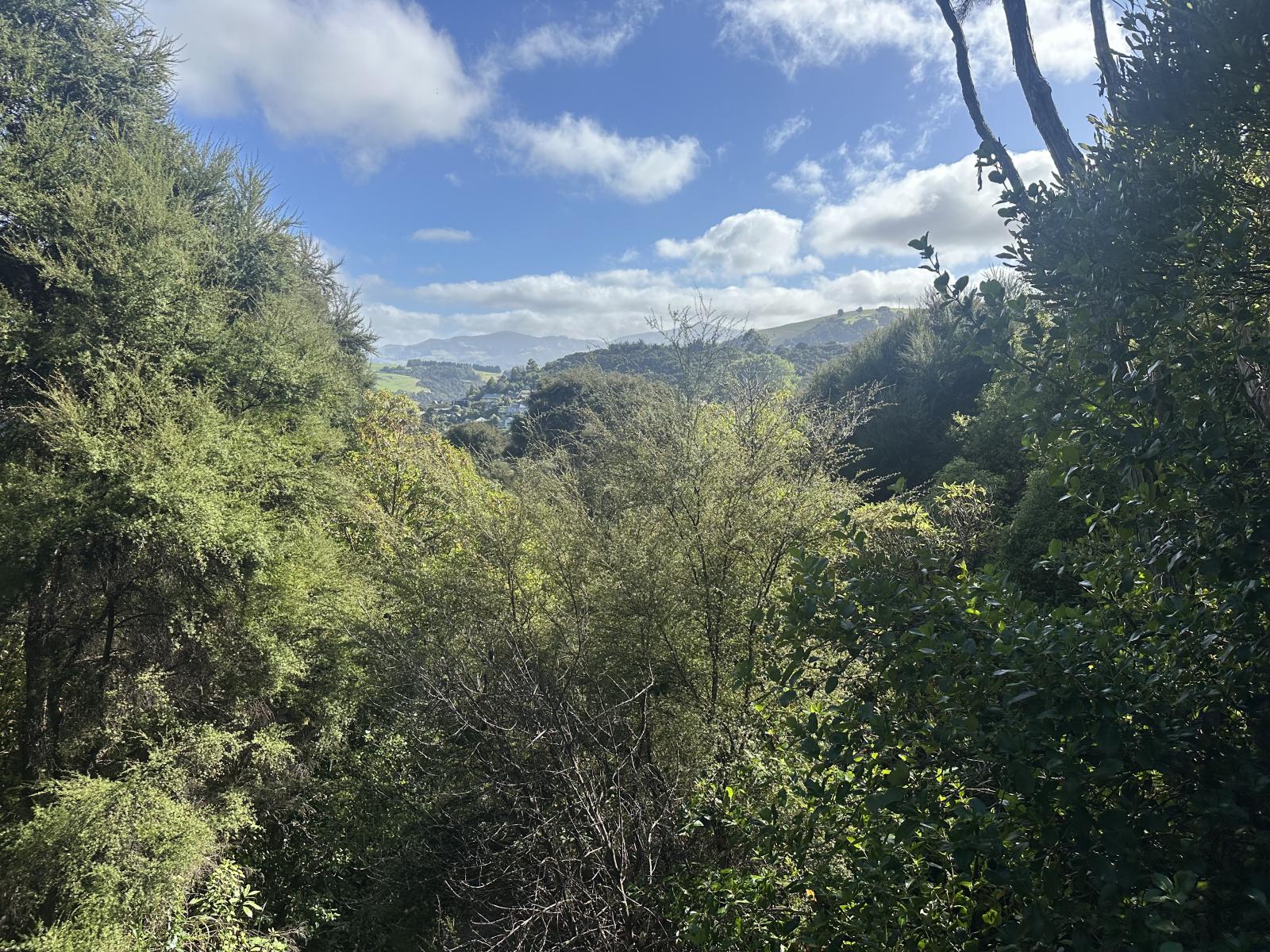 28 Rue Cachalot, Akaroa