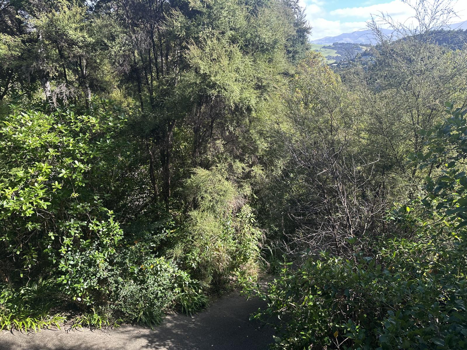 28 Rue Cachalot, Akaroa