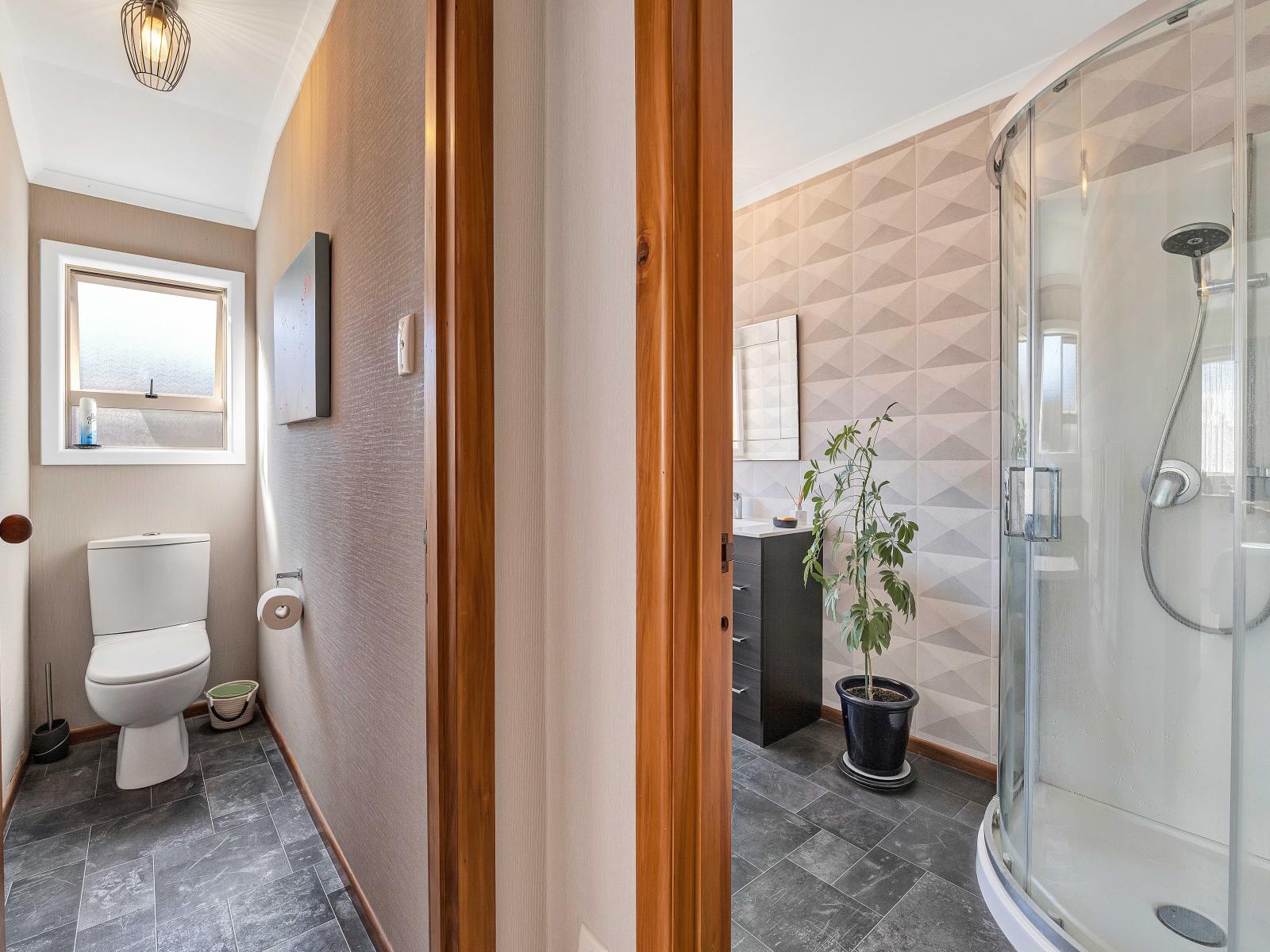 238 Huatoki Street, Upper Vogeltown