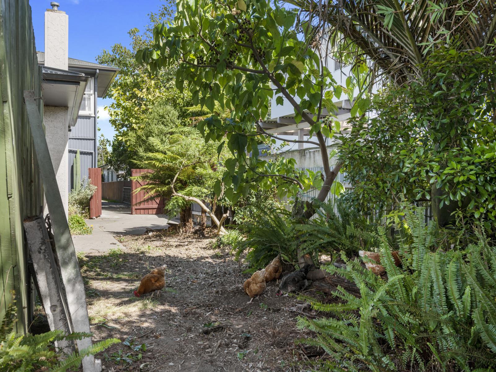 611A St Aubyn Street West, St Leonards