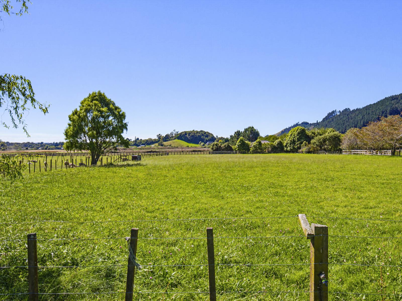 63 South Manakau Road, Manakau
