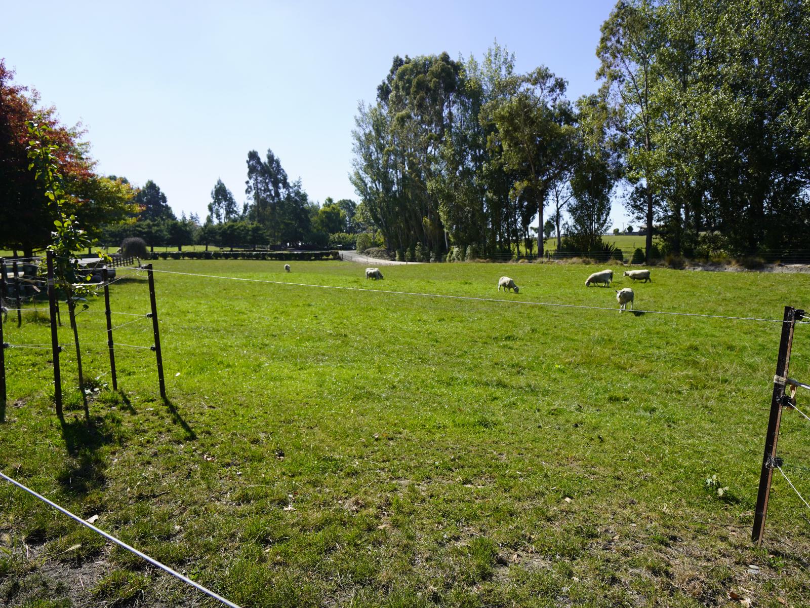 275 Homestead Road, Weston