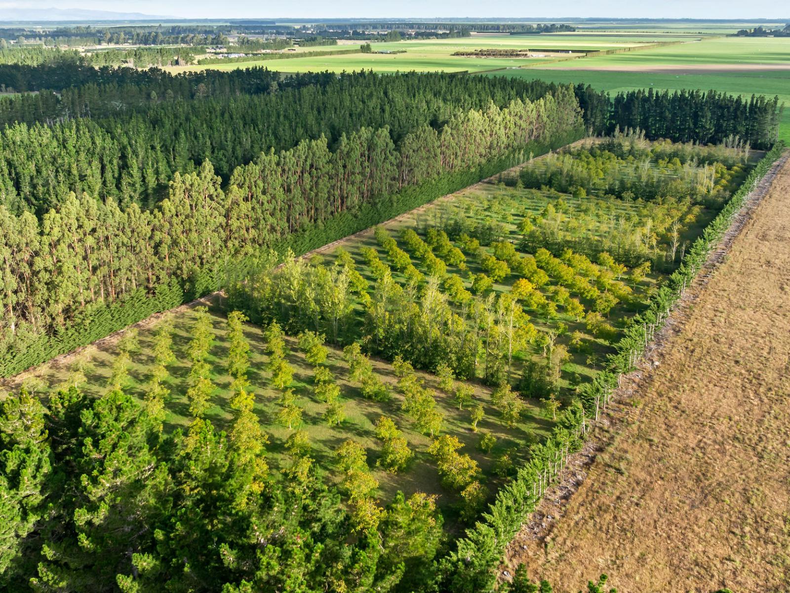 2359 South Eyre Road, Eyrewell