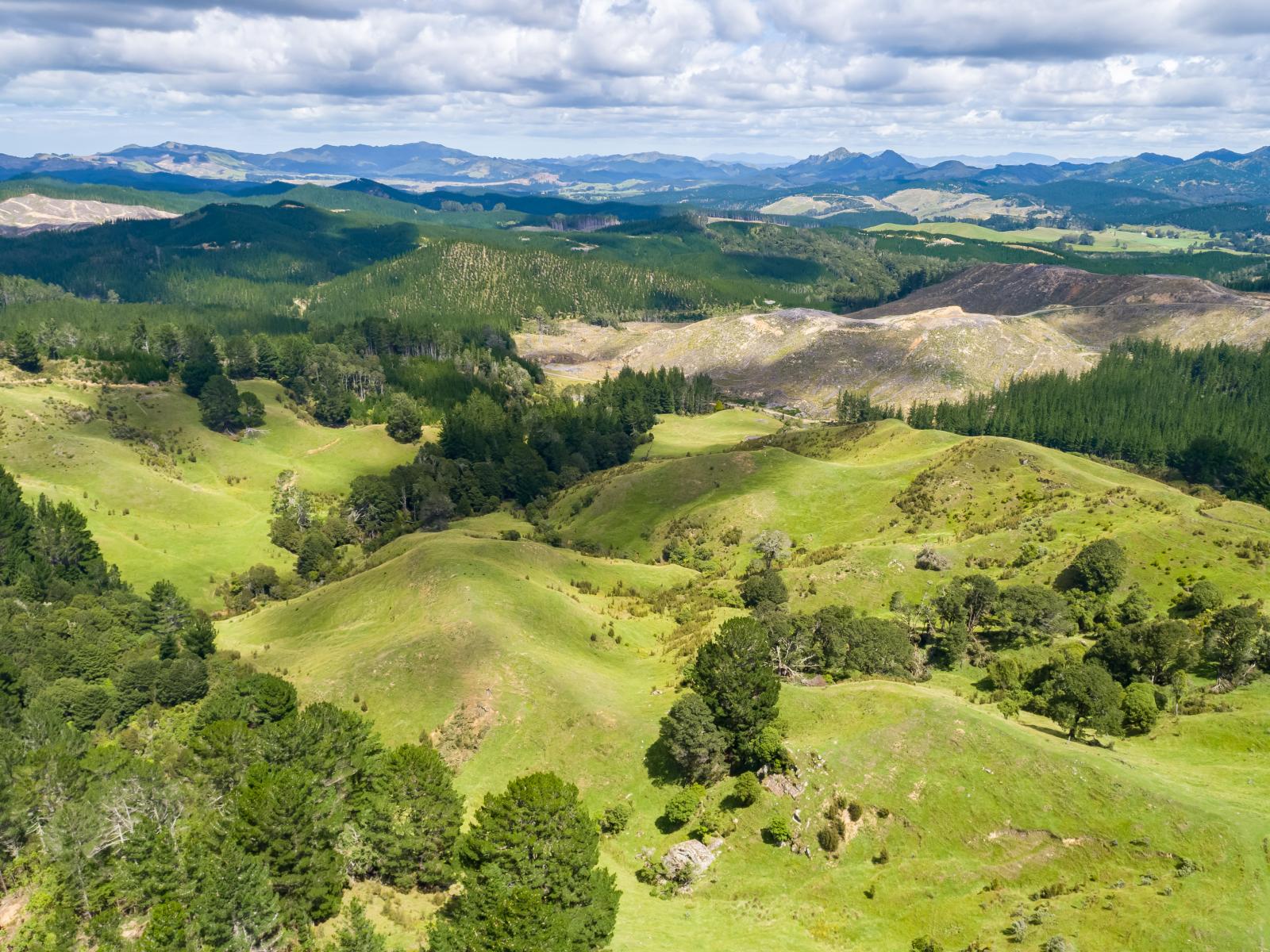 939 Kaiwhata Road, Te Wharau