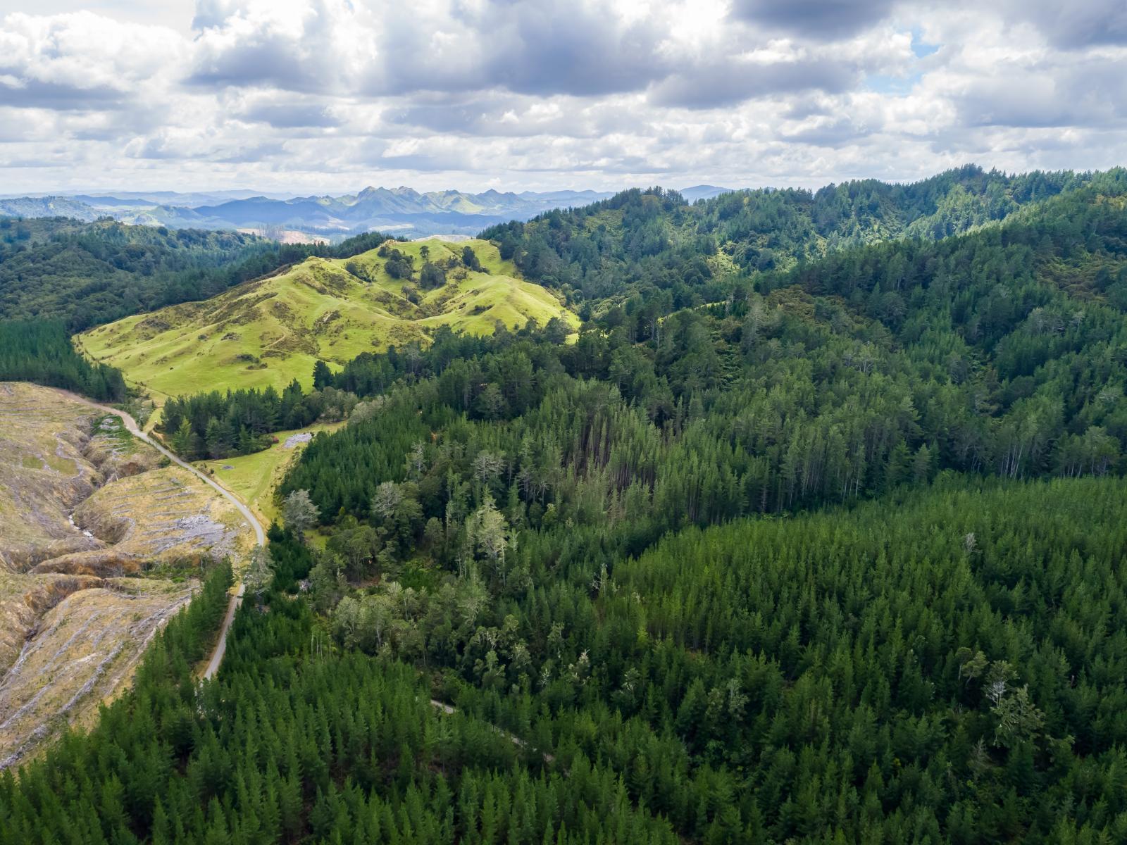 939 Kaiwhata Road, Te Wharau