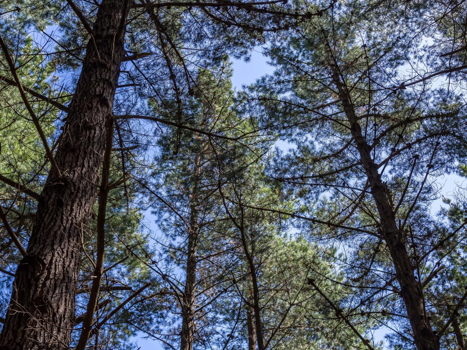 939 Kaiwhata Road, Te Wharau