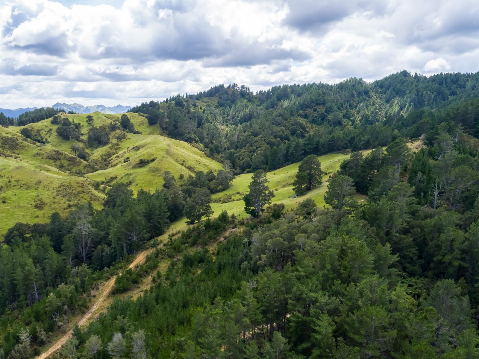 939 Kaiwhata Road, Te Wharau