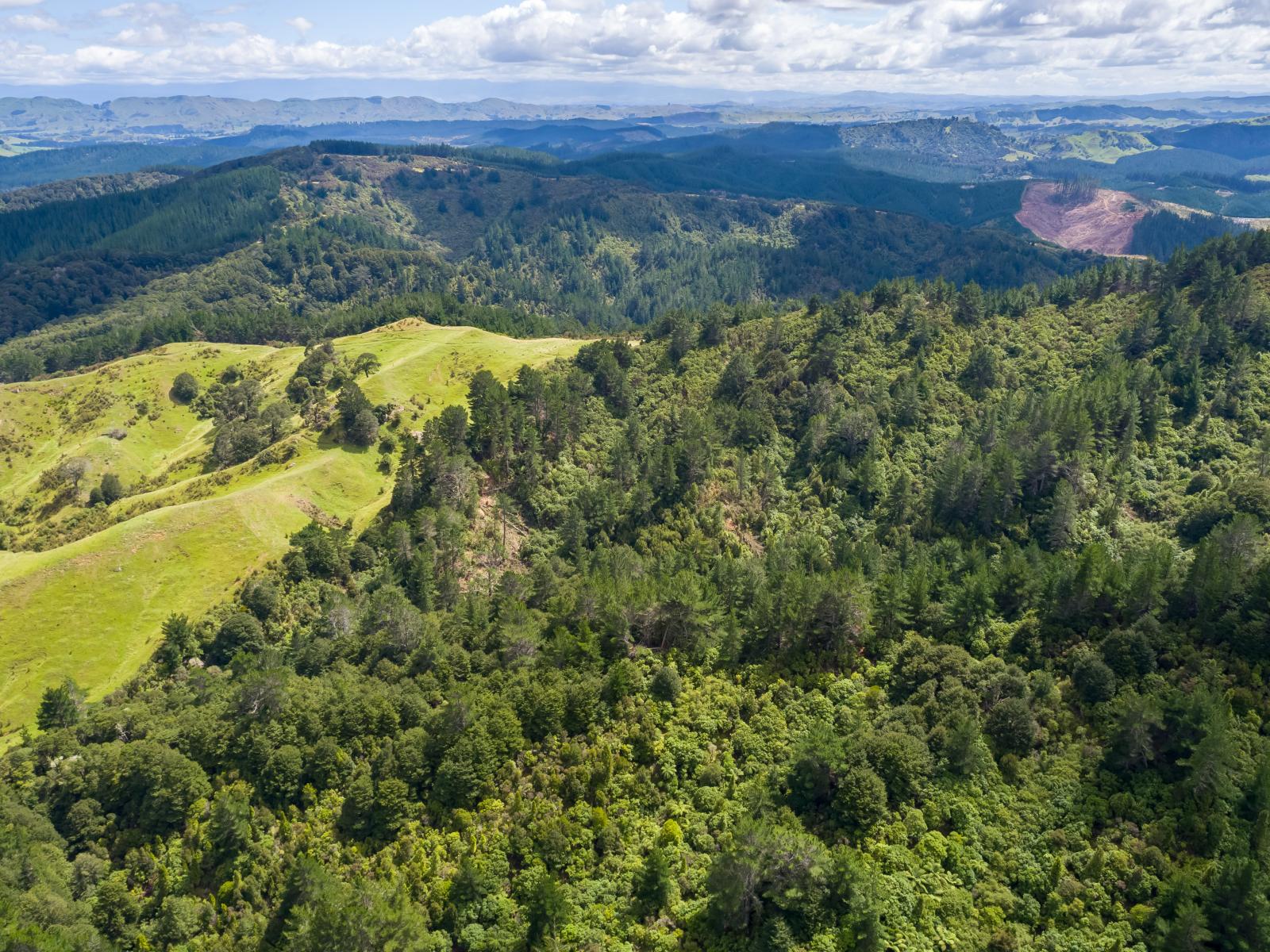939 Kaiwhata Road, Te Wharau