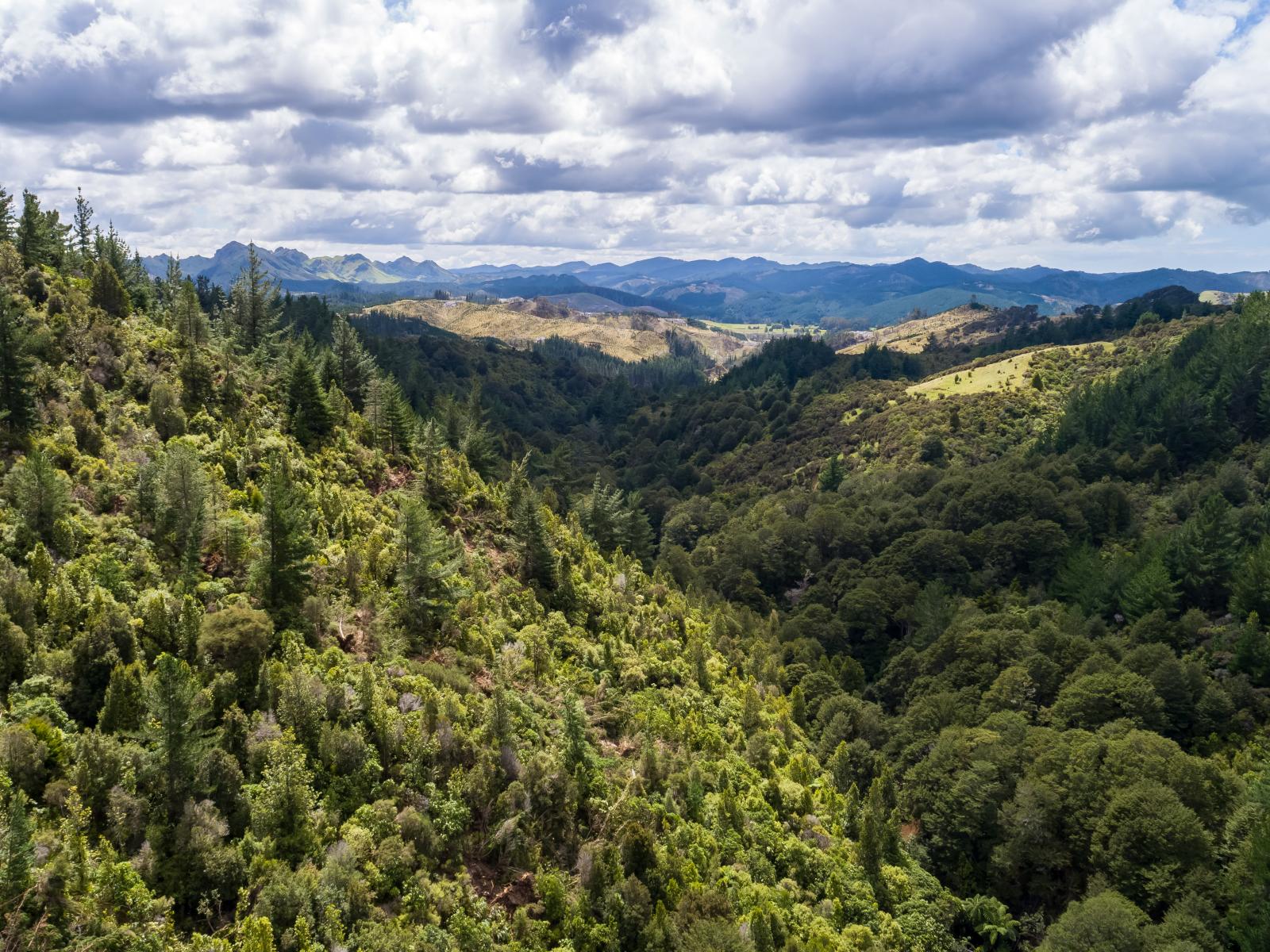 939 Kaiwhata Road, Te Wharau