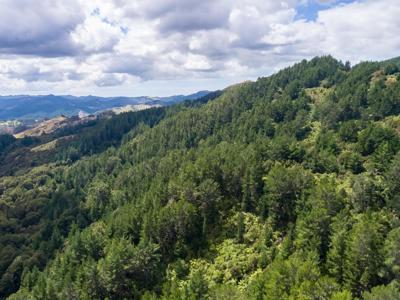 939 Kaiwhata Road, Te Wharau