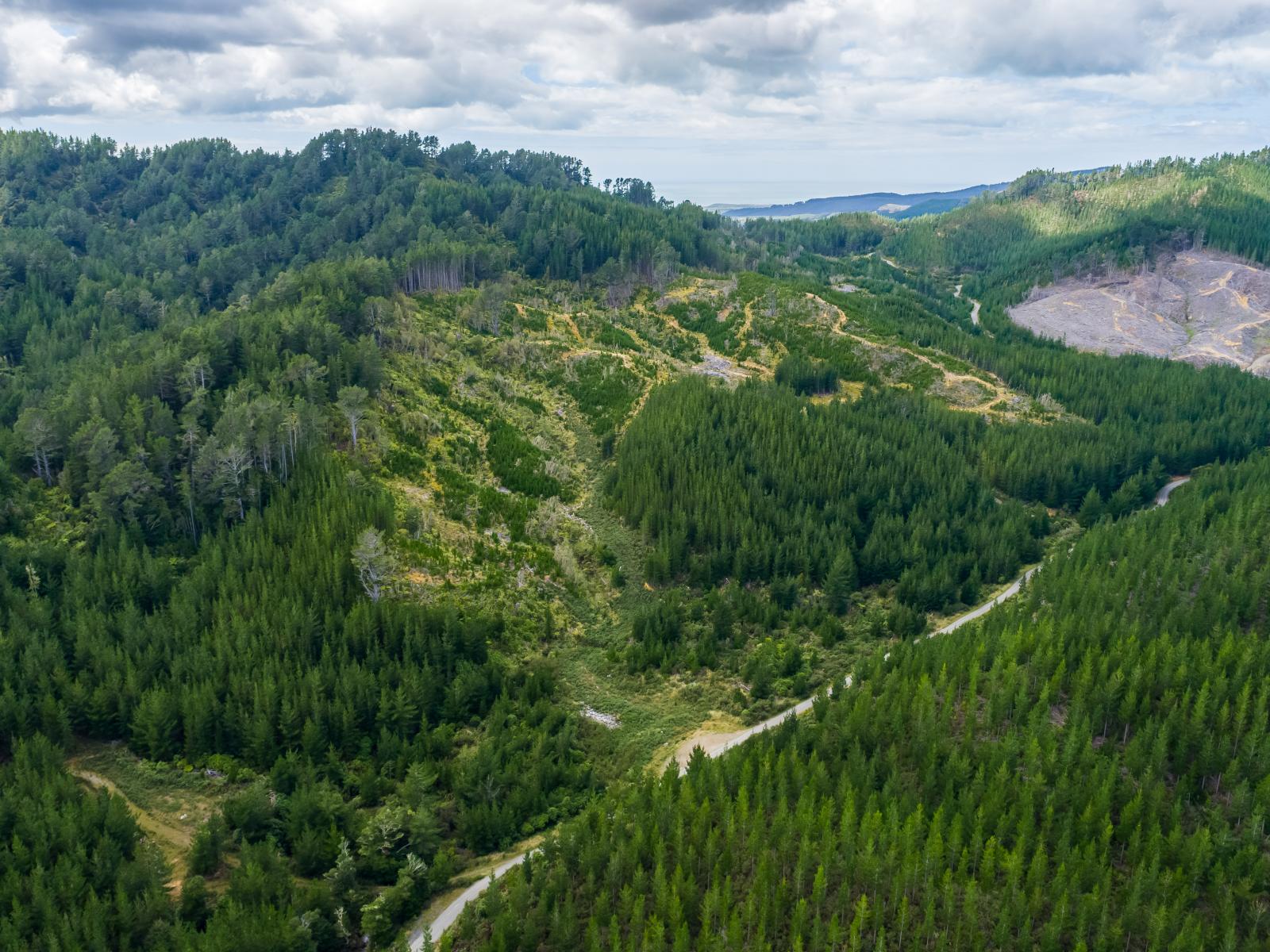 939 Kaiwhata Road, Te Wharau