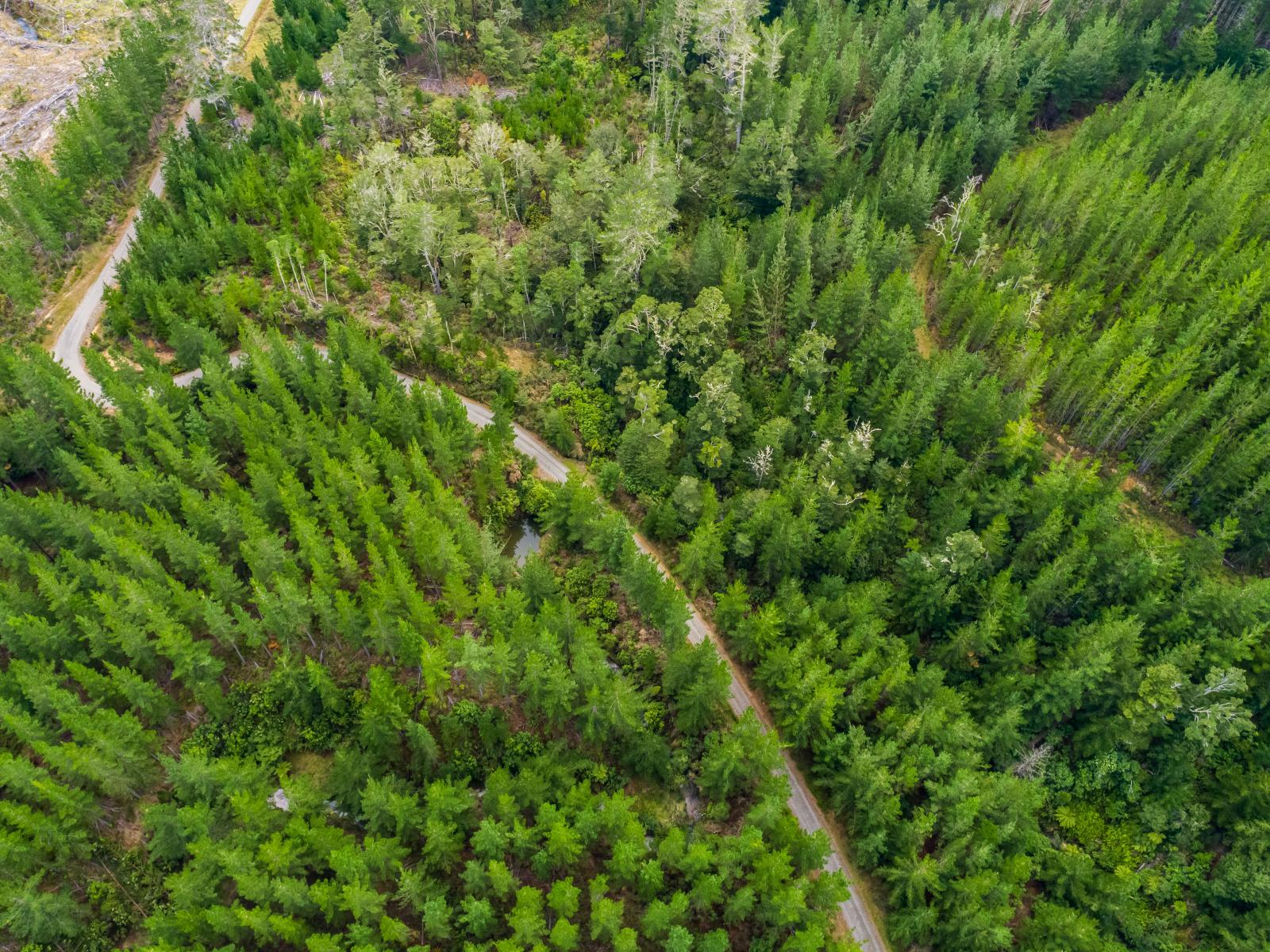 939 Kaiwhata Road, Te Wharau