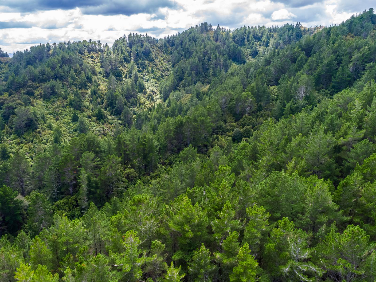 939 Kaiwhata Road, Te Wharau