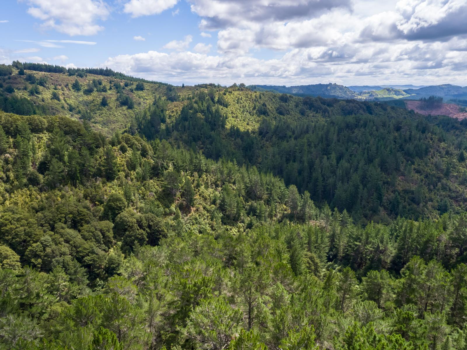 939 Kaiwhata Road, Te Wharau